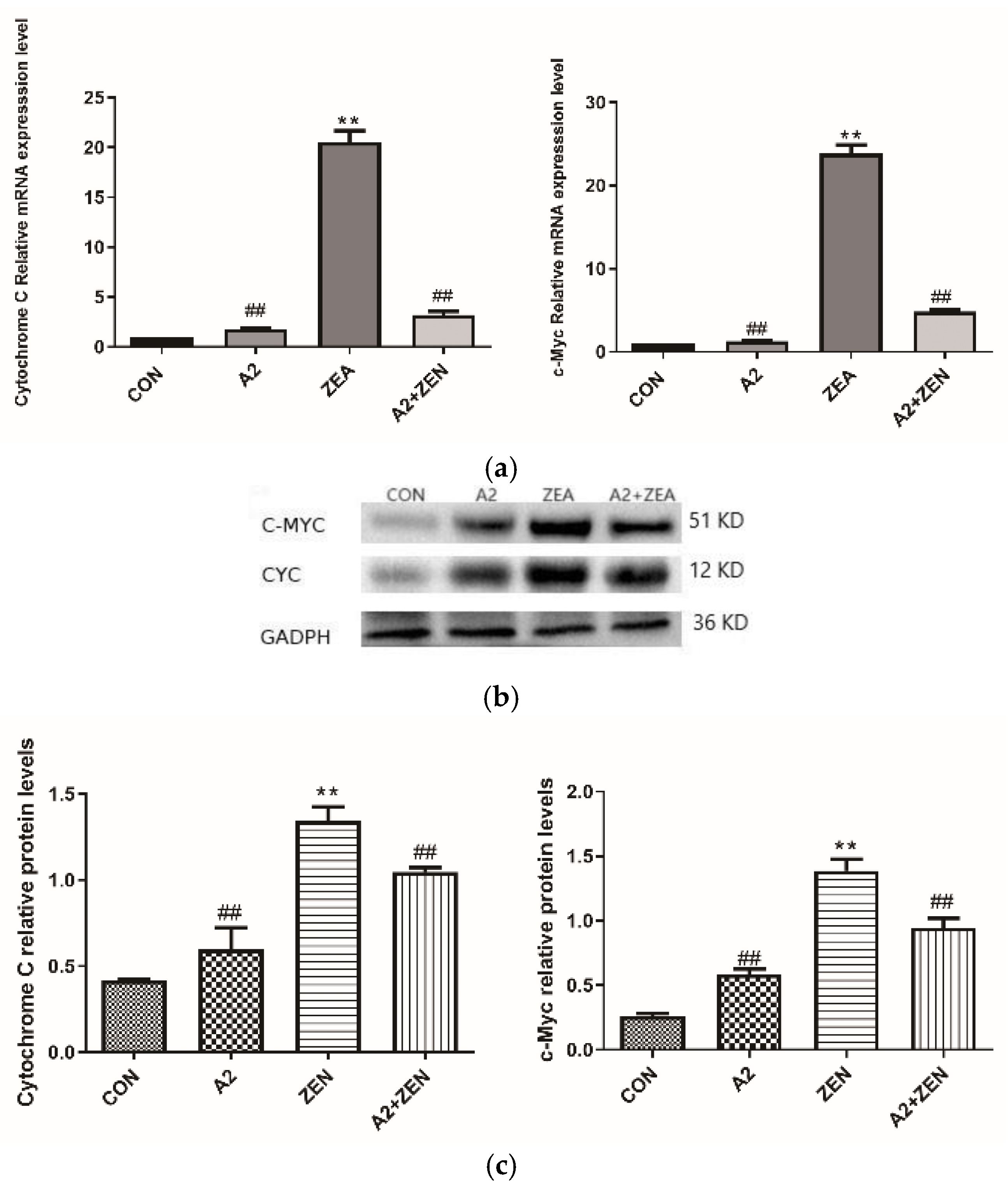 Toxins 16 00044 g010