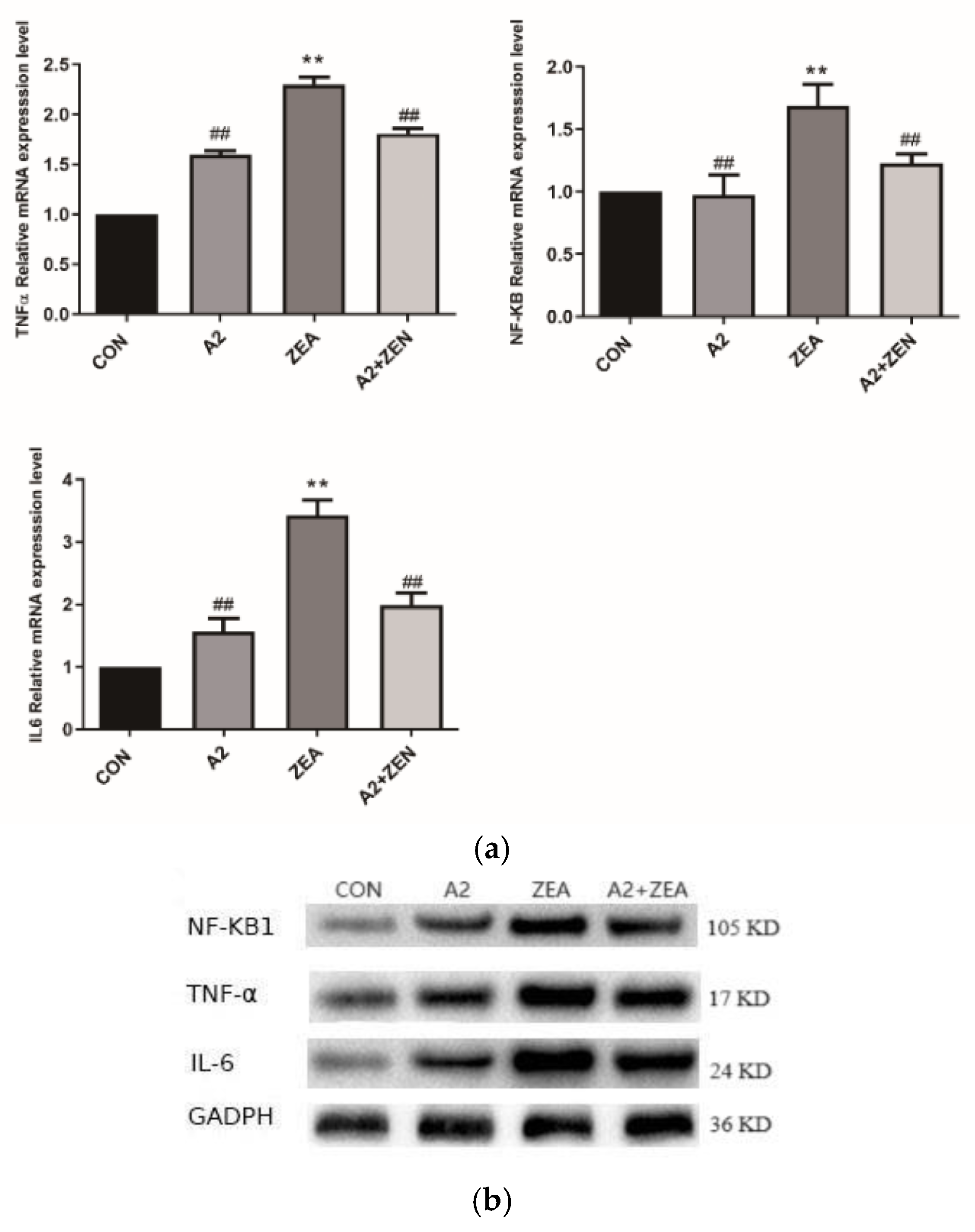 Toxins 16 00044 g011a