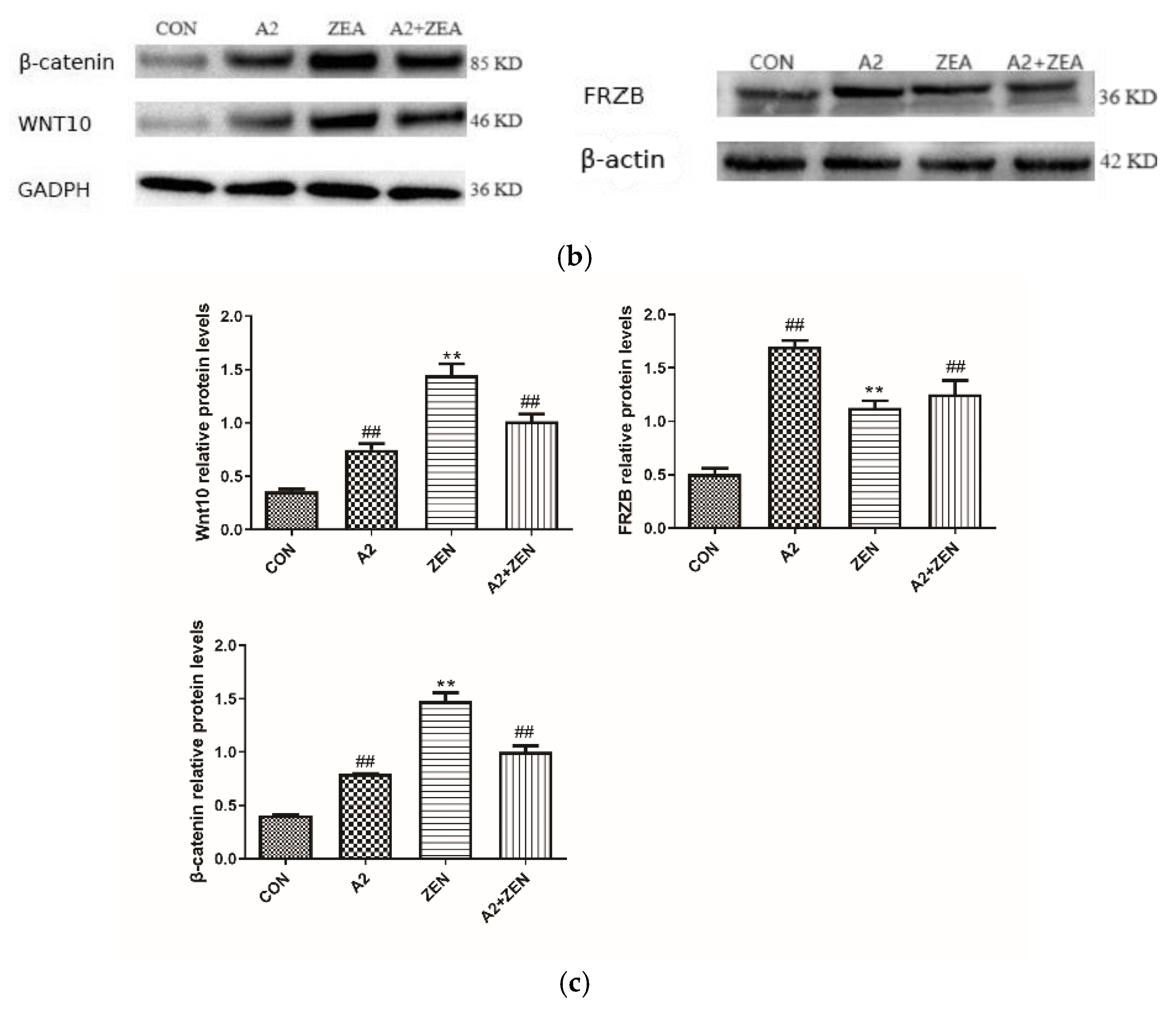Toxins 16 00044 g012b