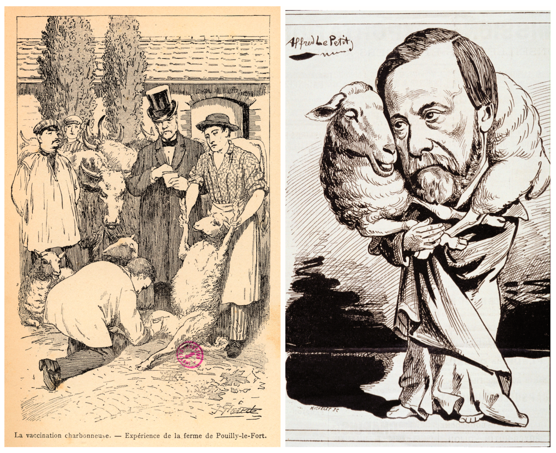 Toxins 16 00066 g001