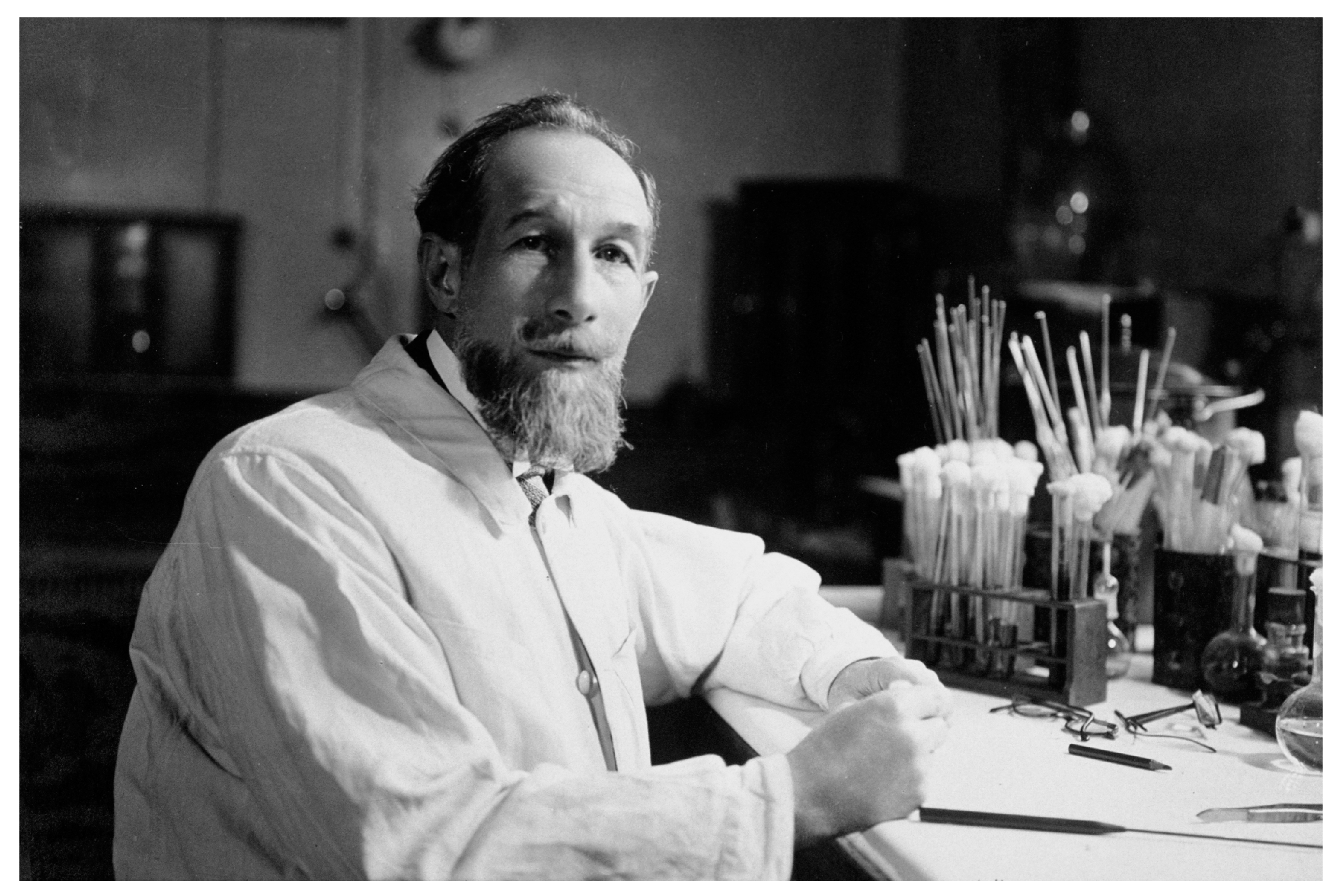 Toxins 16 00066 g004