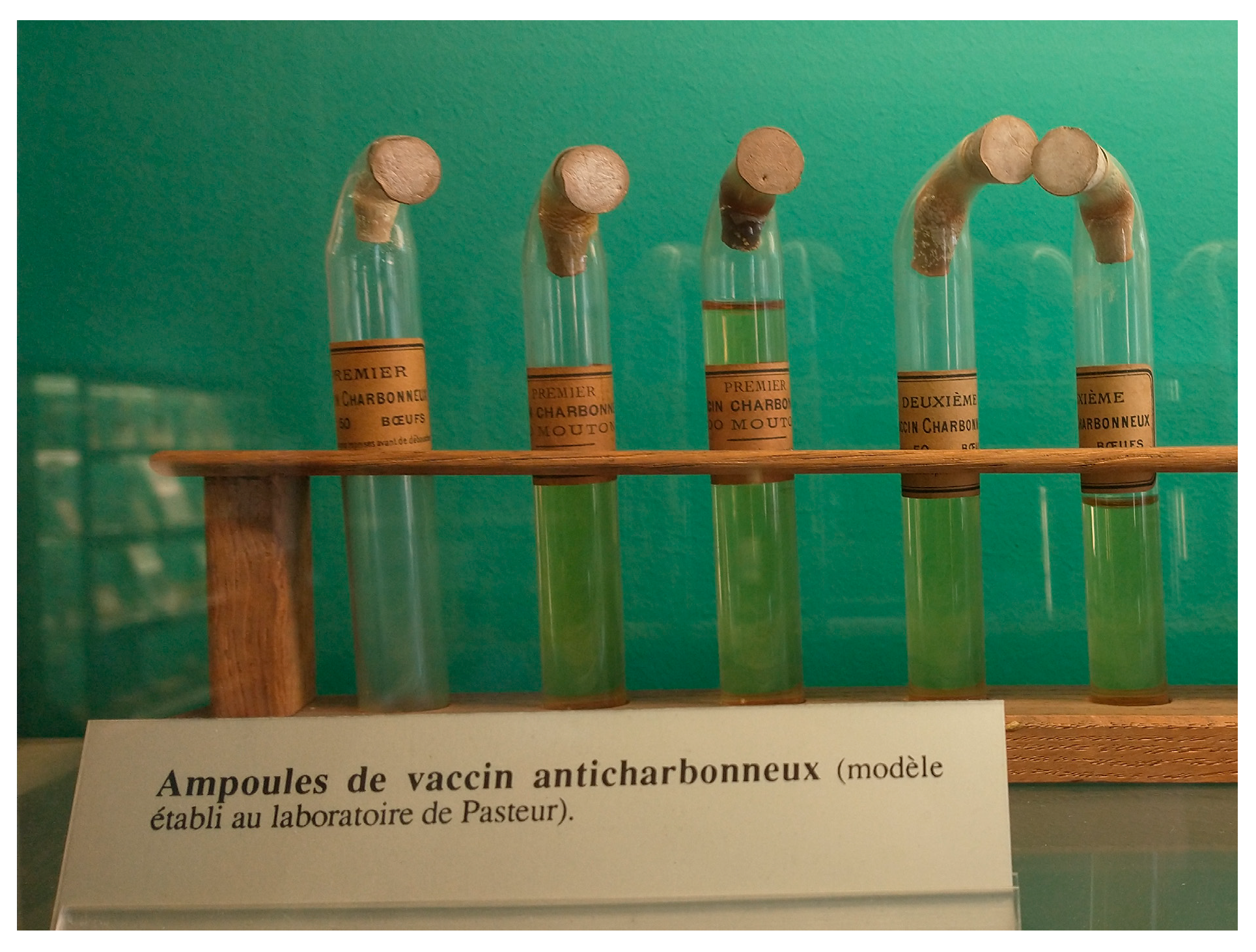 Toxins 16 00066 g007