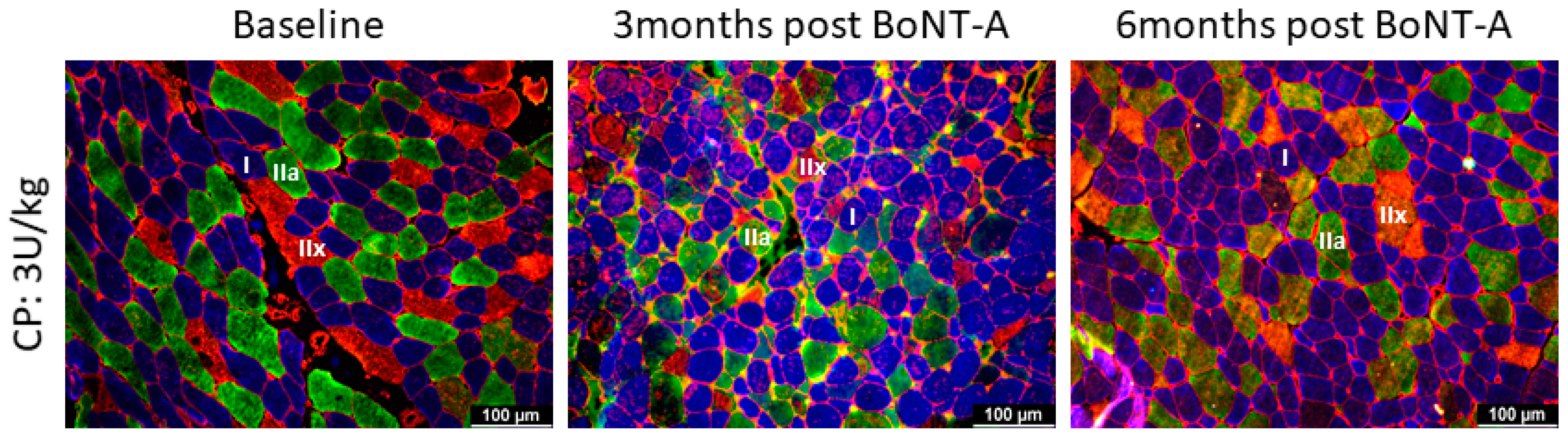 Toxins 16 00069 g002