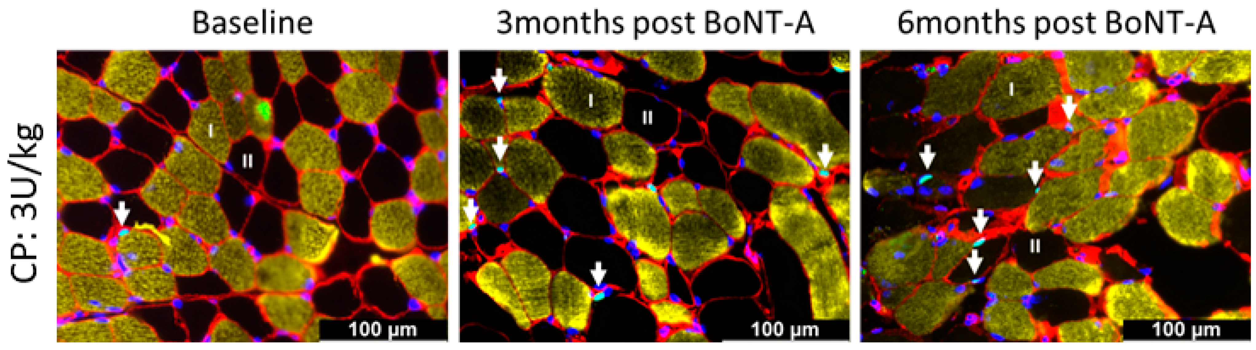 Toxins 16 00069 g006