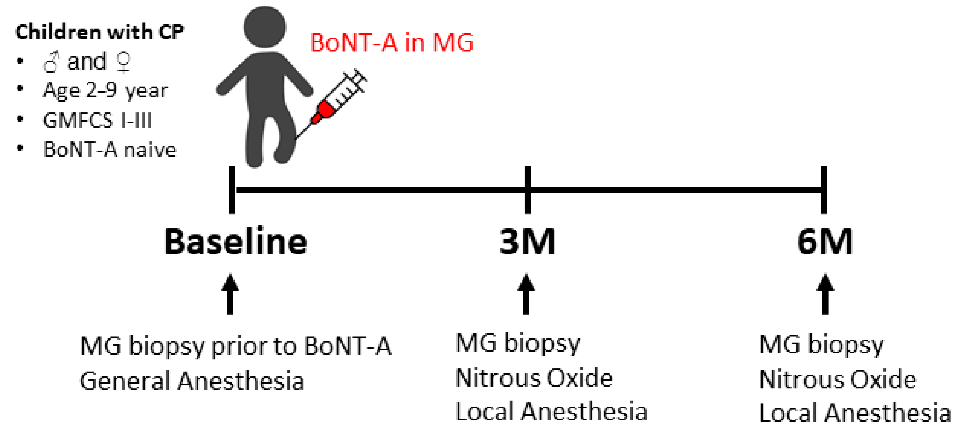 Toxins 16 00069 g007