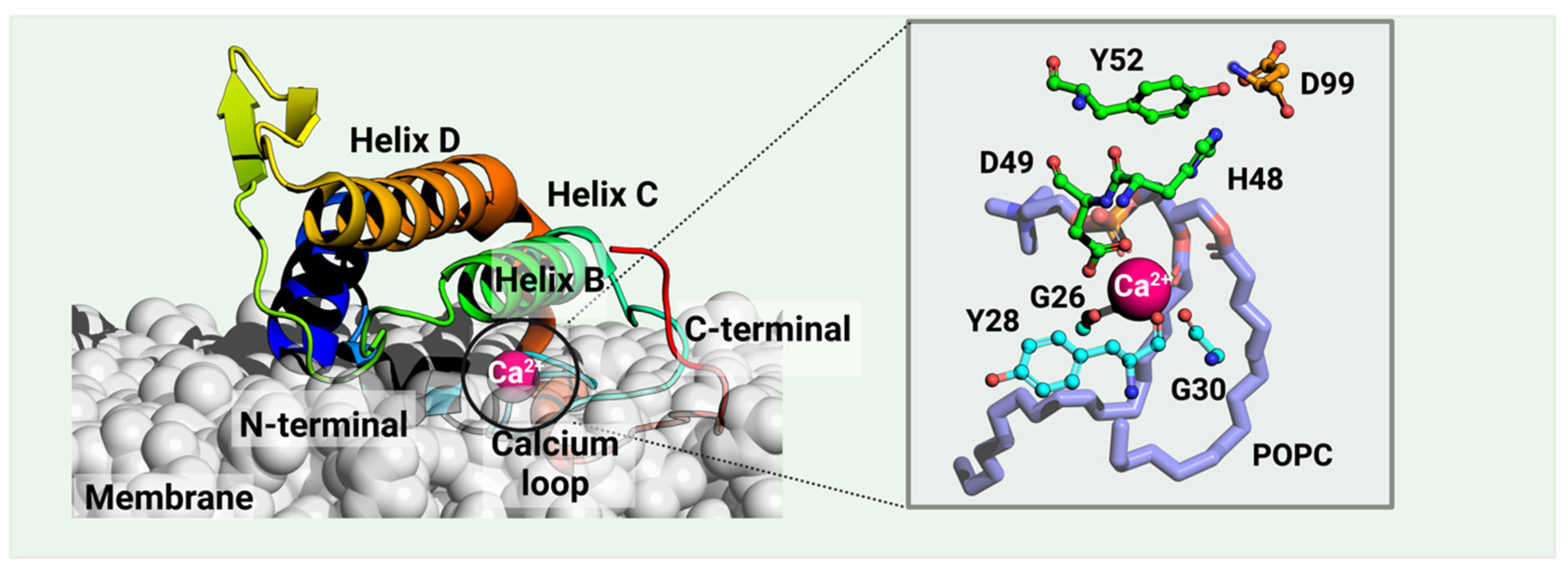 Toxins 16 00071 g001