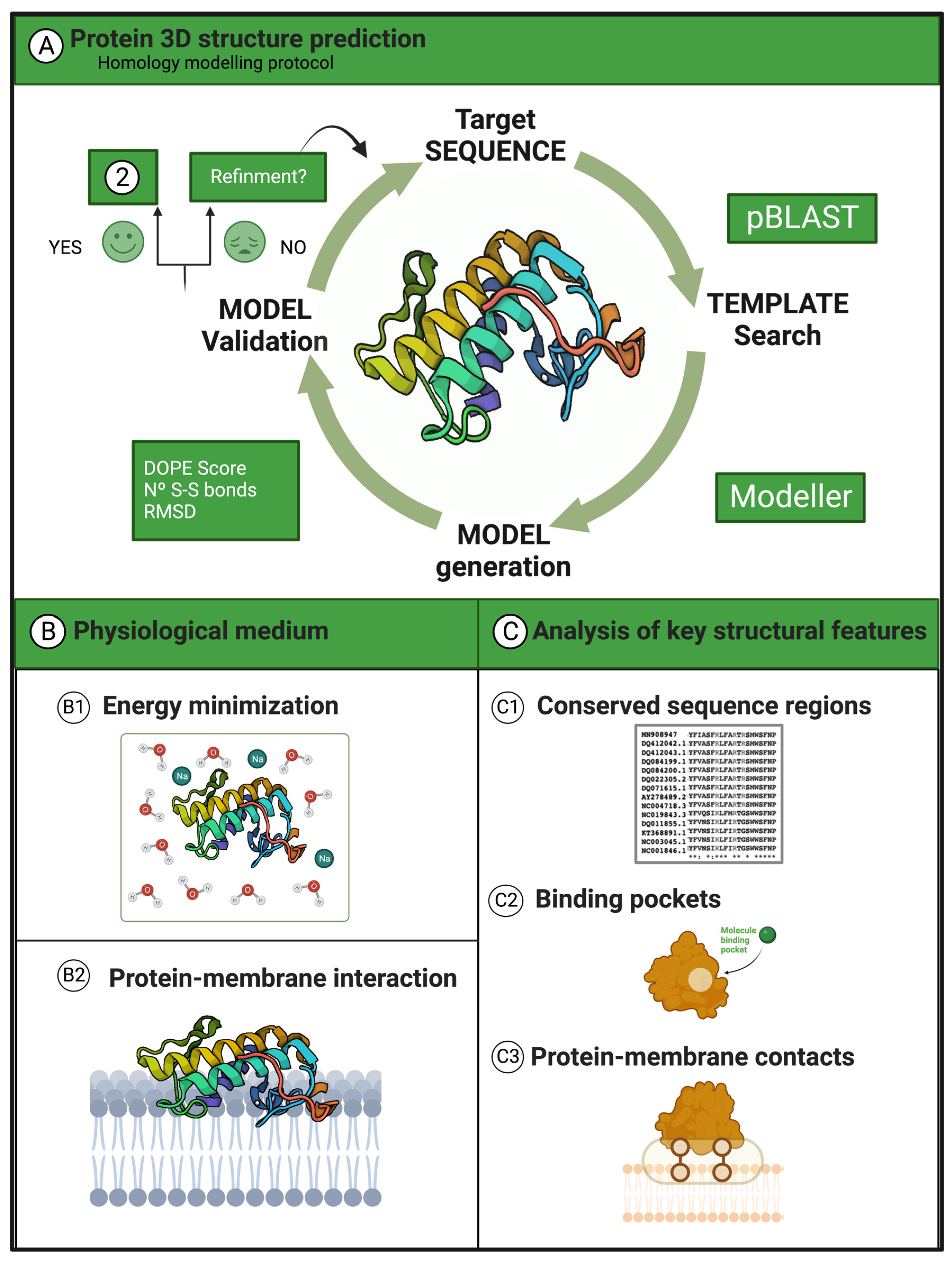 Toxins 16 00071 g011