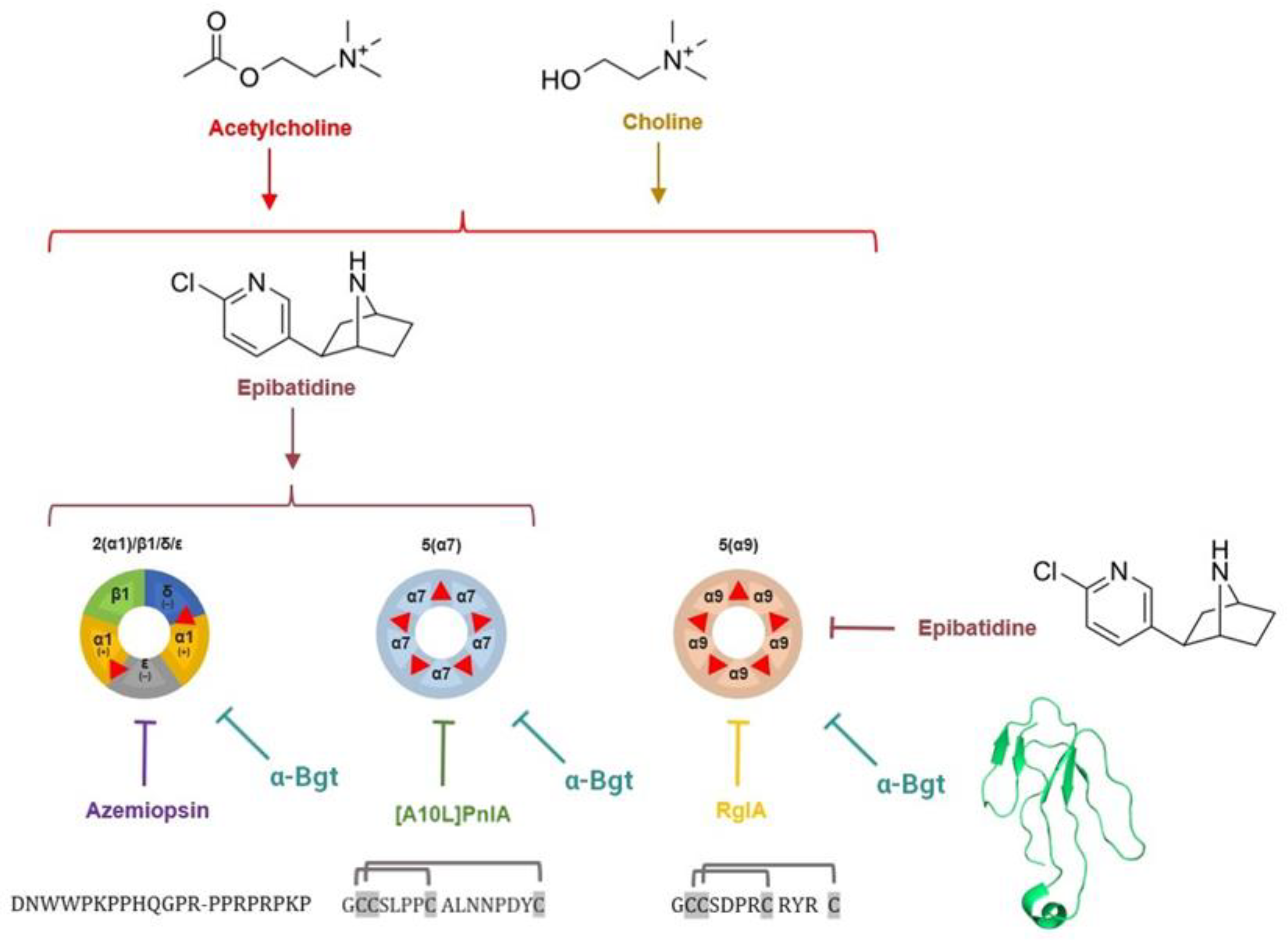 Toxins 16 00080 g001