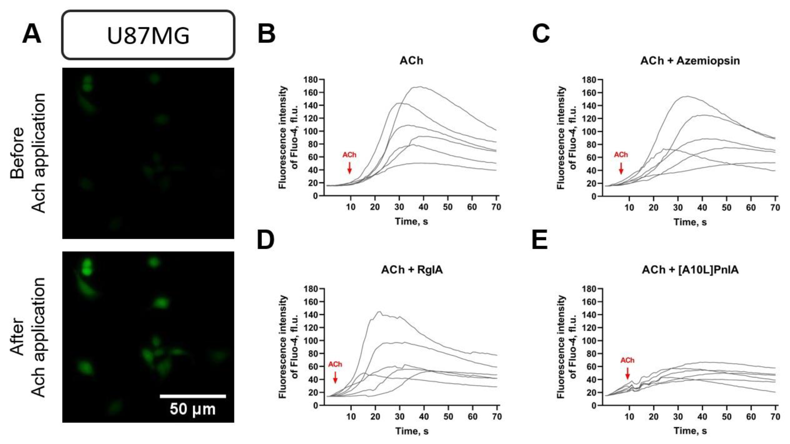 Toxins 16 00080 g006