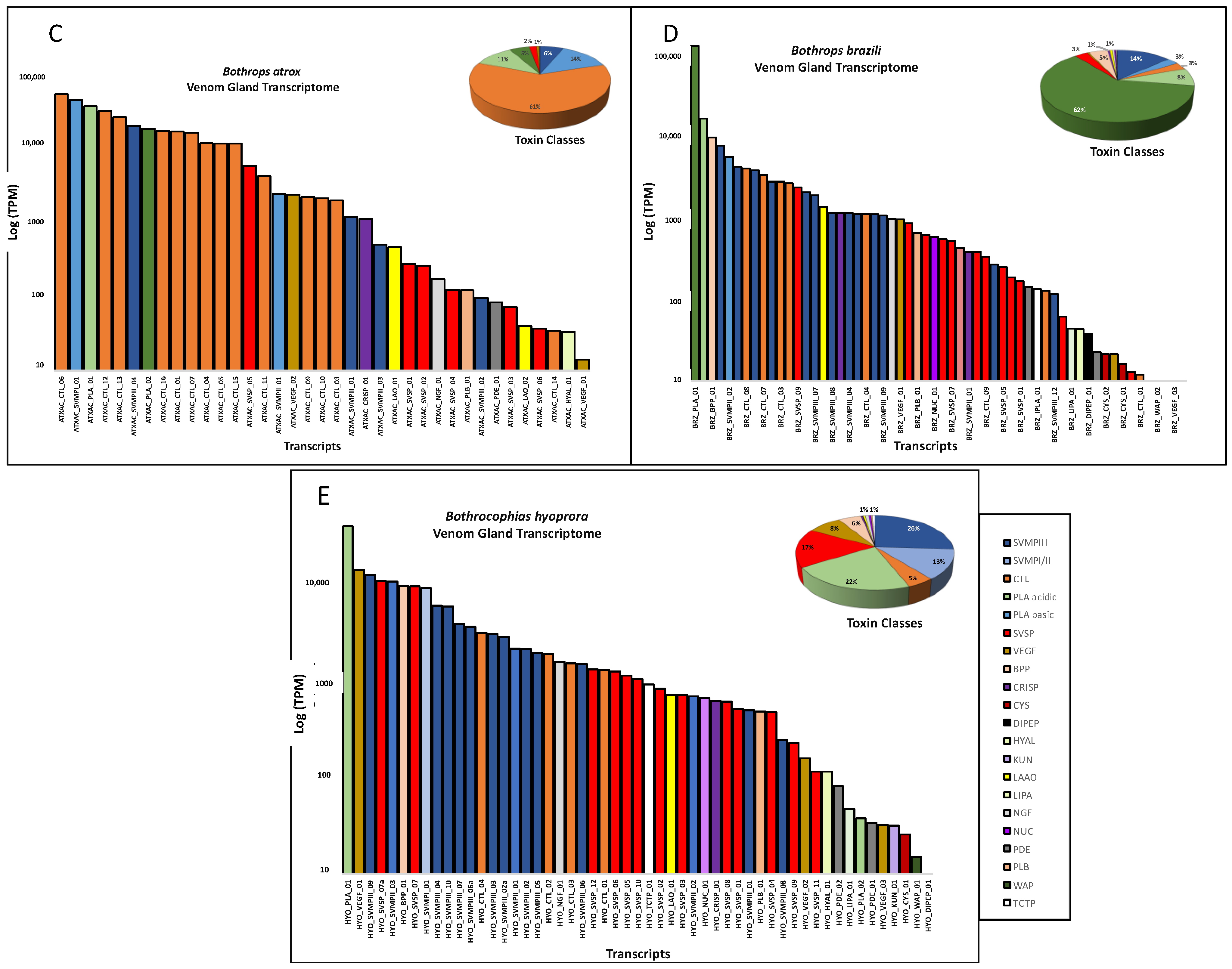 Toxins 16 00083 g003b