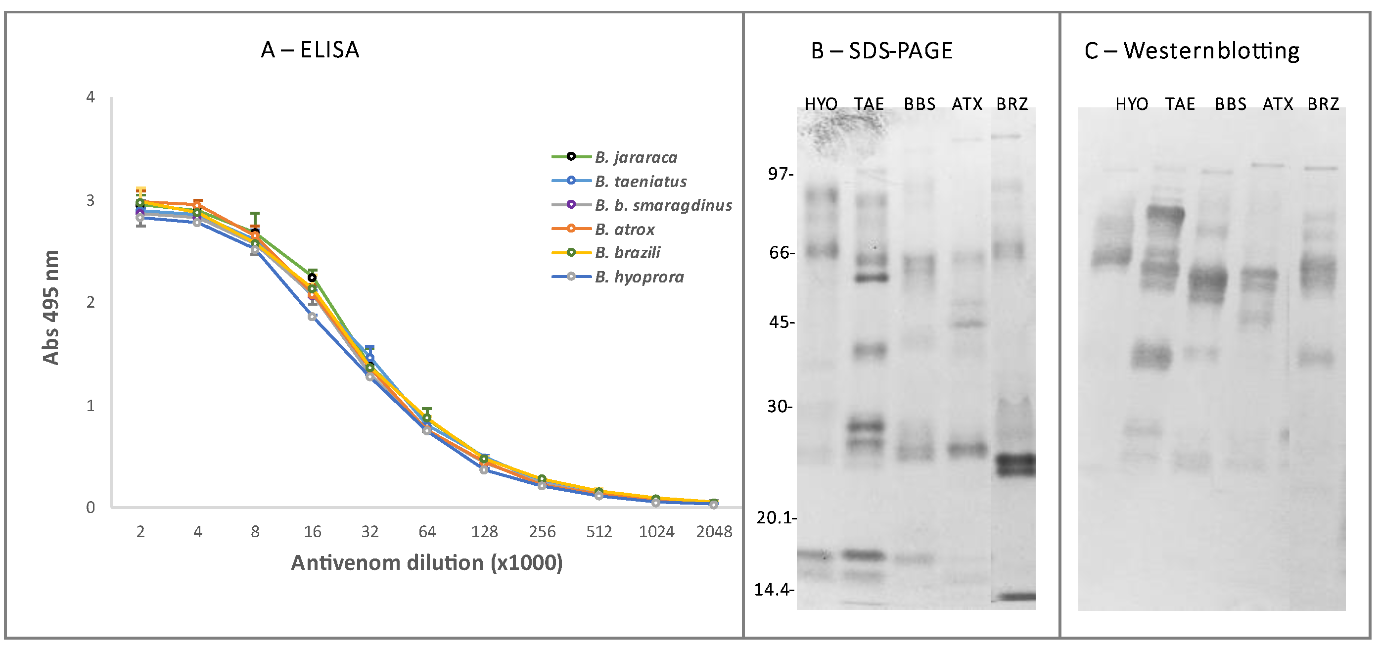 Toxins 16 00083 g008