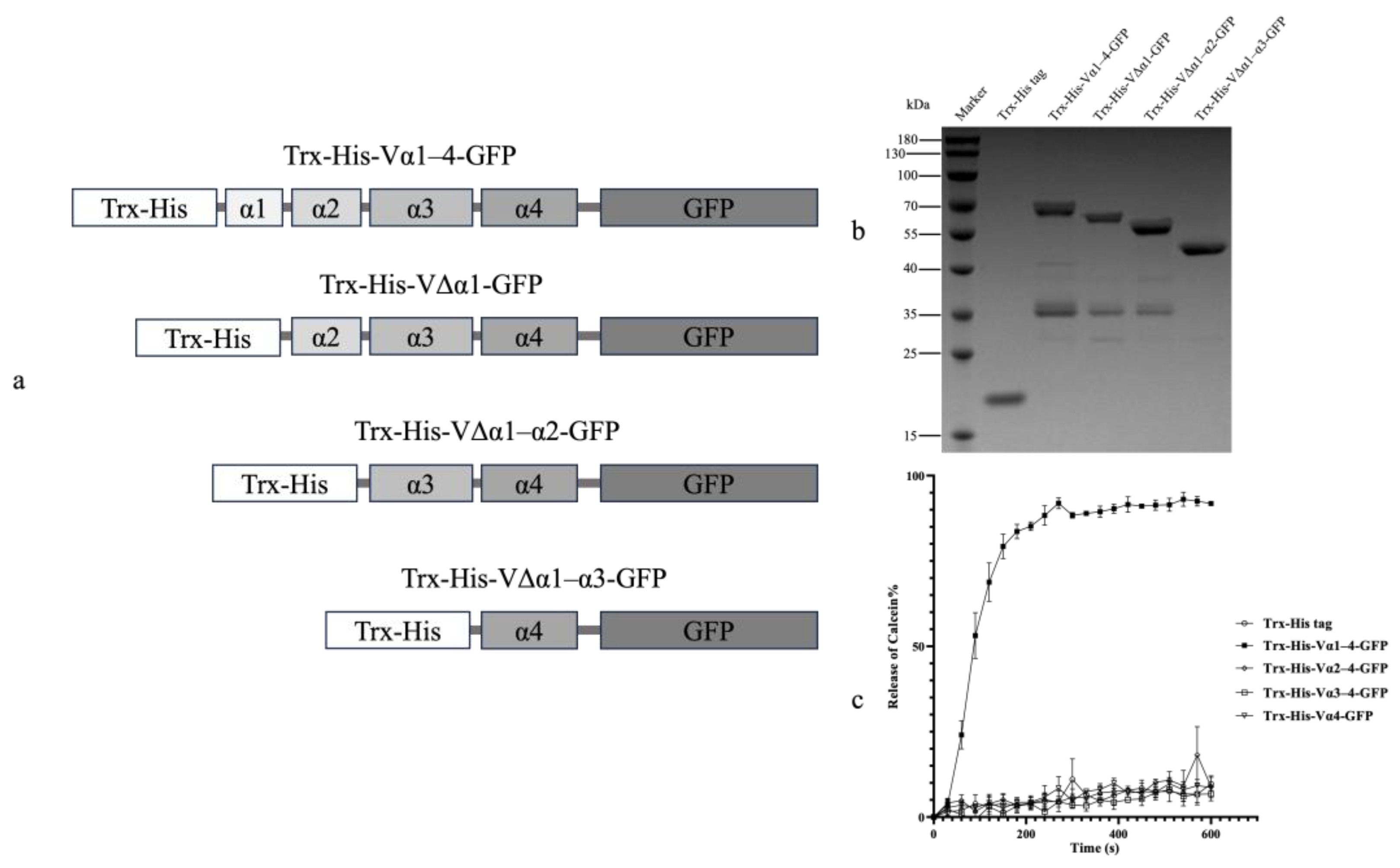 Toxins 16 00088 g002 Toxins 16 00088 g002