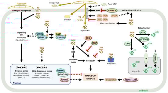 Toxins 16 00090 g001