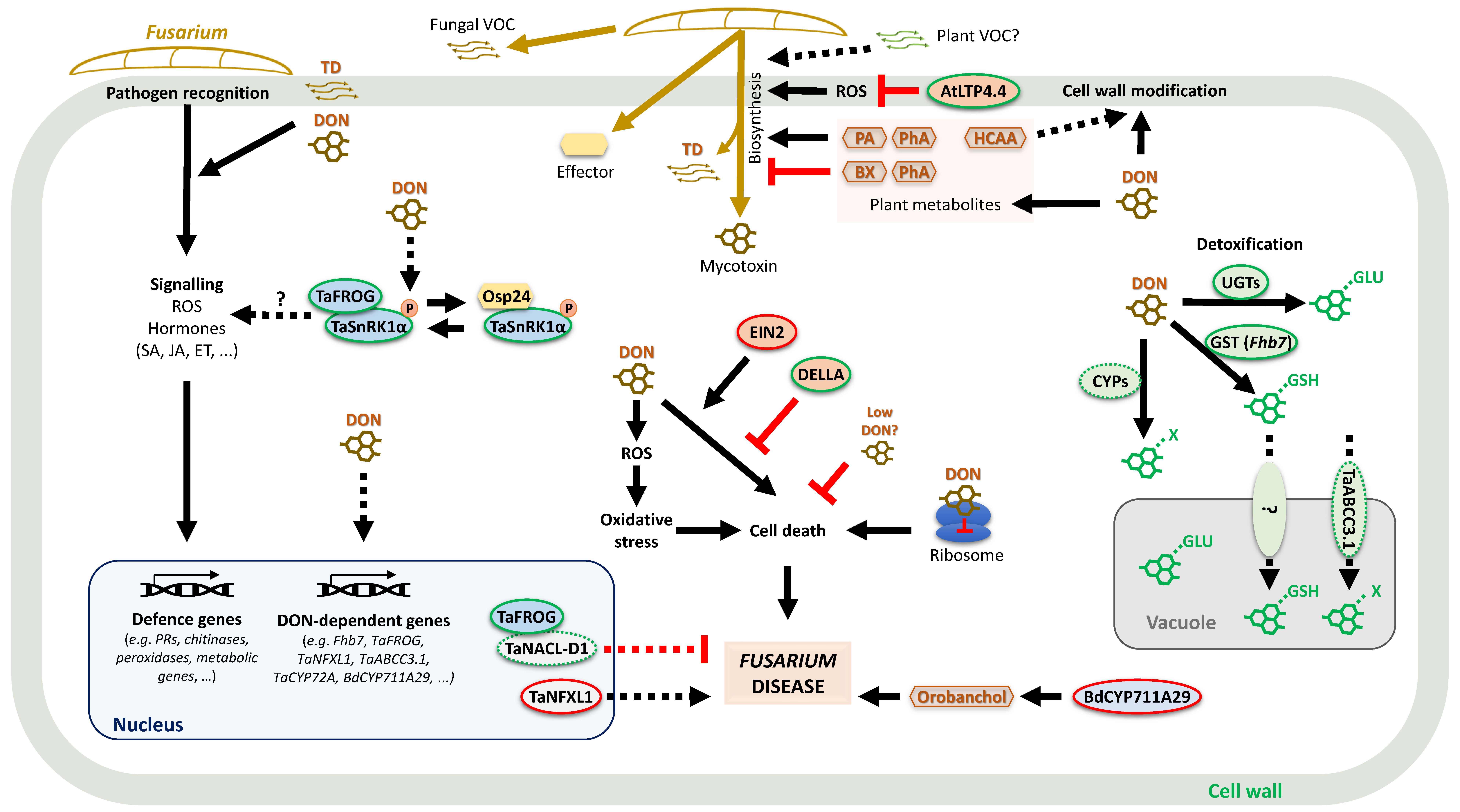 Toxins 16 00090 g001