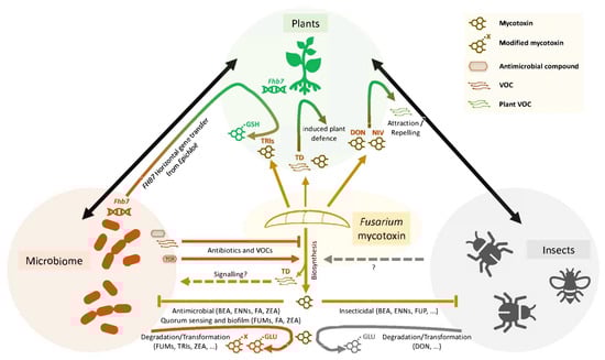 Toxins 16 00090 g002