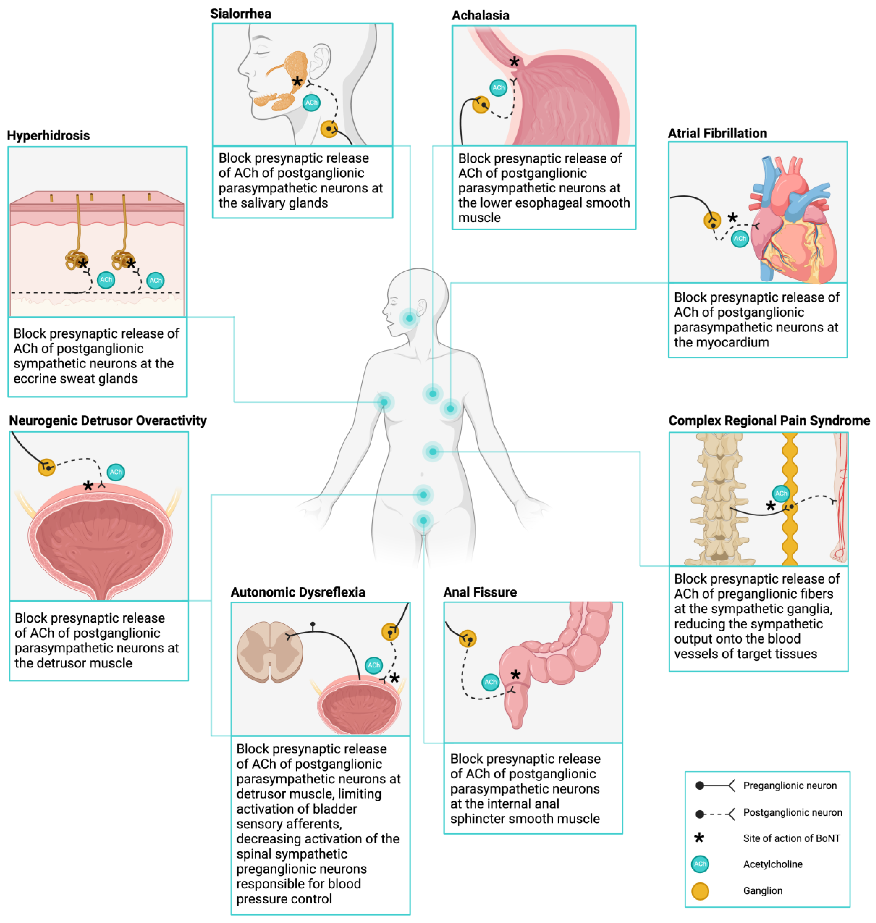 Toxins 16 00096 g002 Toxins 16 00096 g002