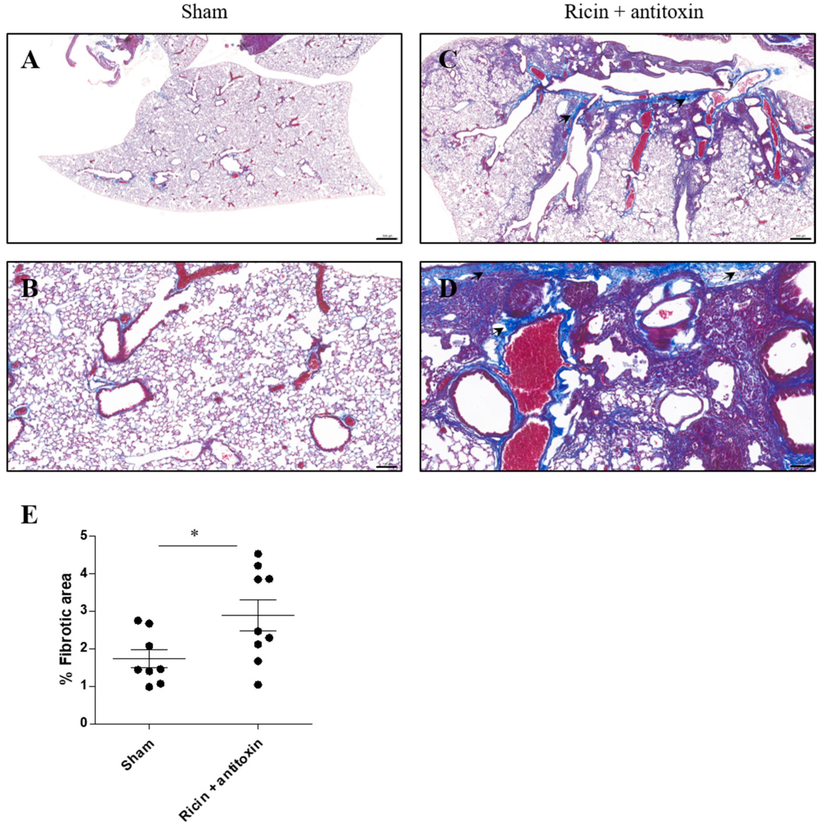 Toxins 16 00103 g003