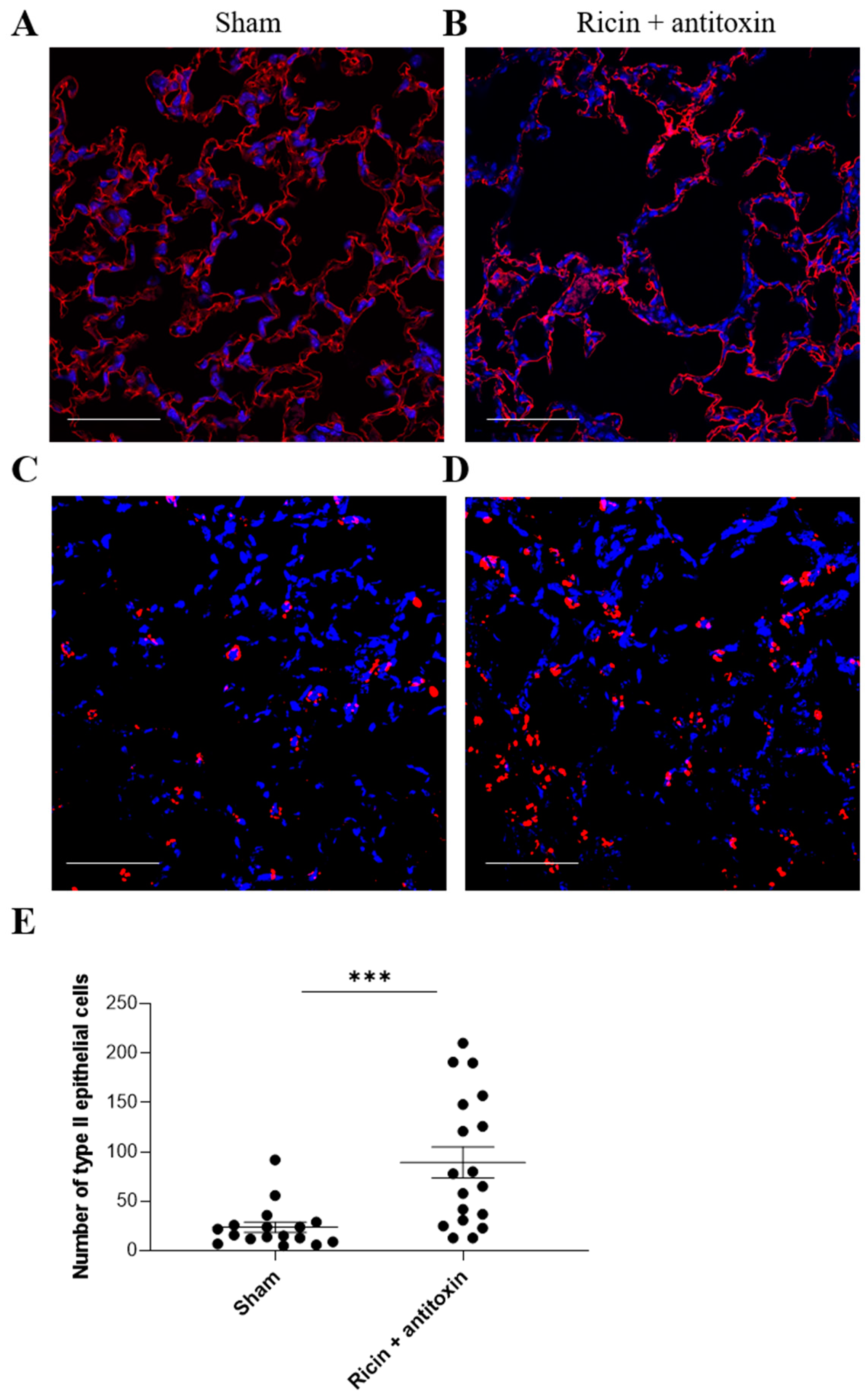Toxins 16 00103 g004