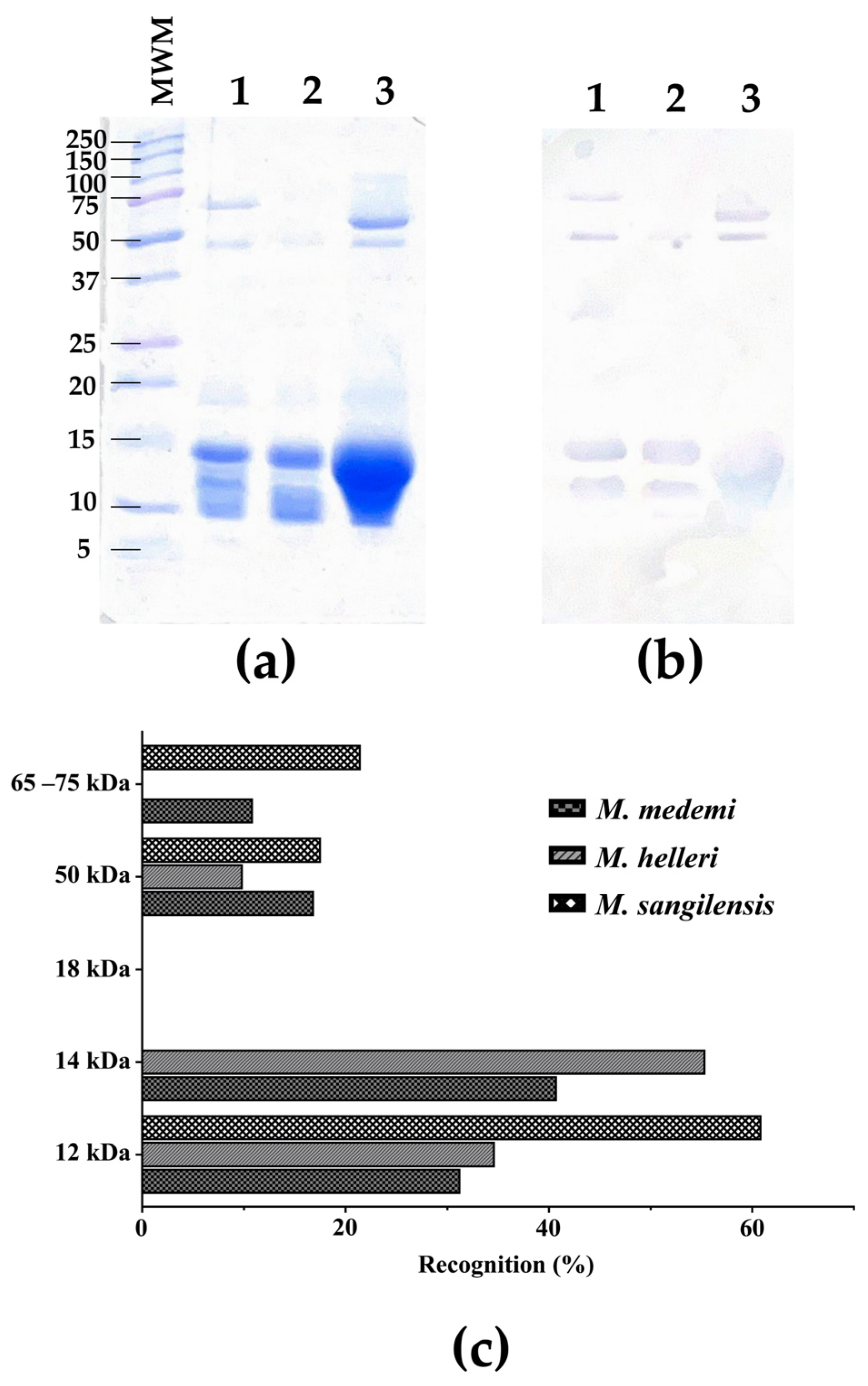 Toxins 16 00104 g002 Toxins 16 00104 g002