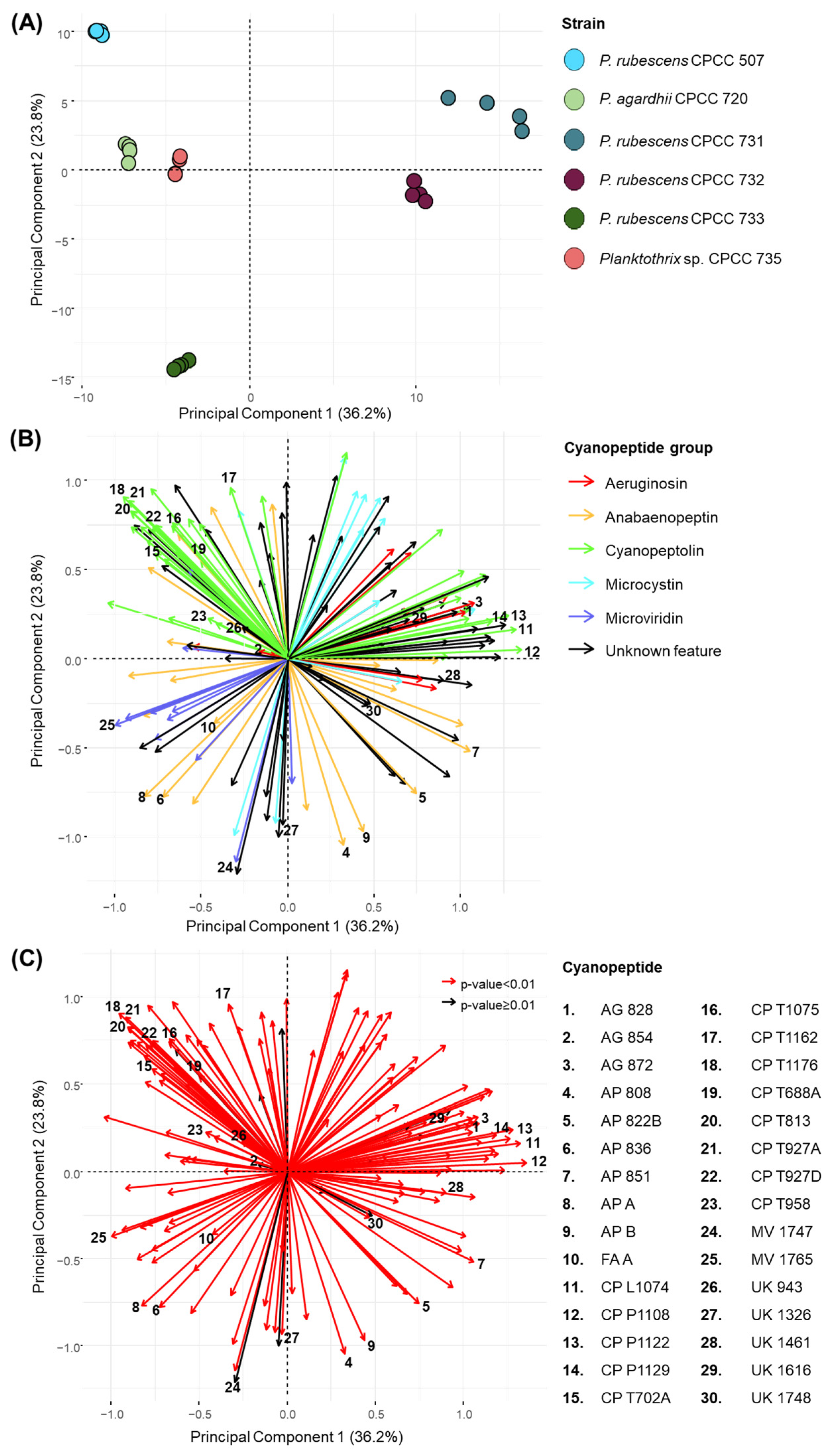 Toxins 16 00110 g001