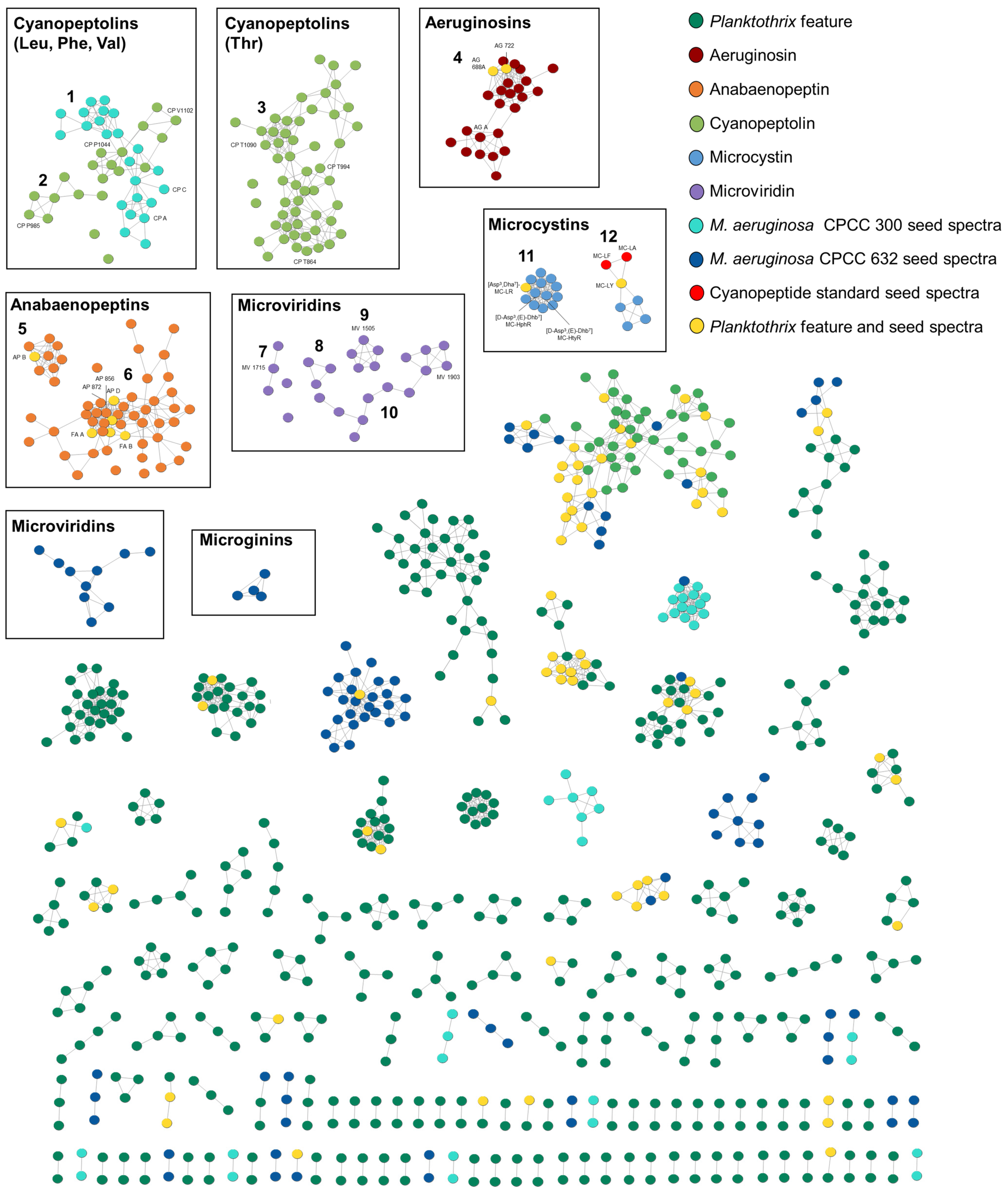 Toxins 16 00110 g002