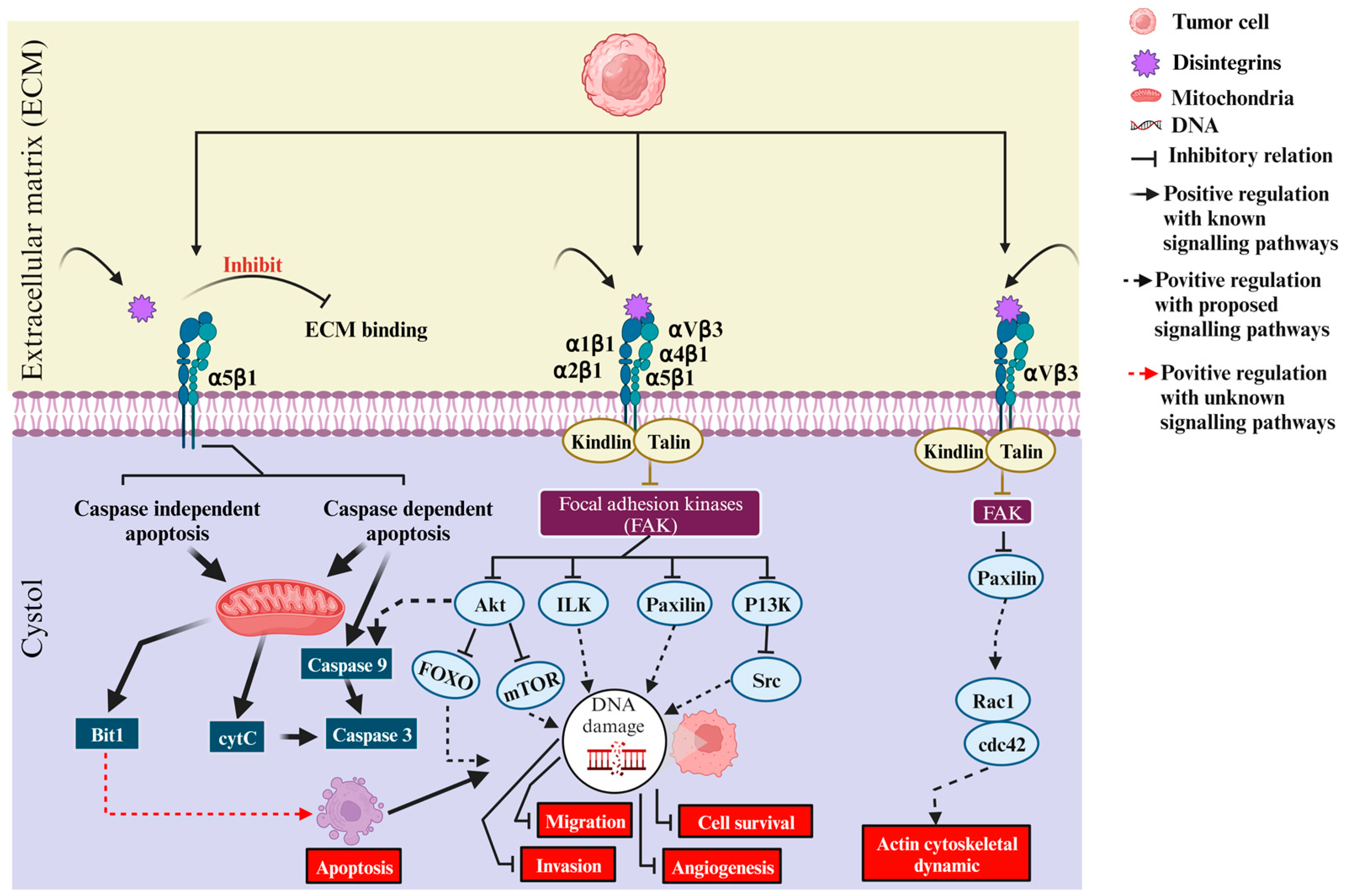 Toxins 16 00127 g003 Toxins 16 00127 g003