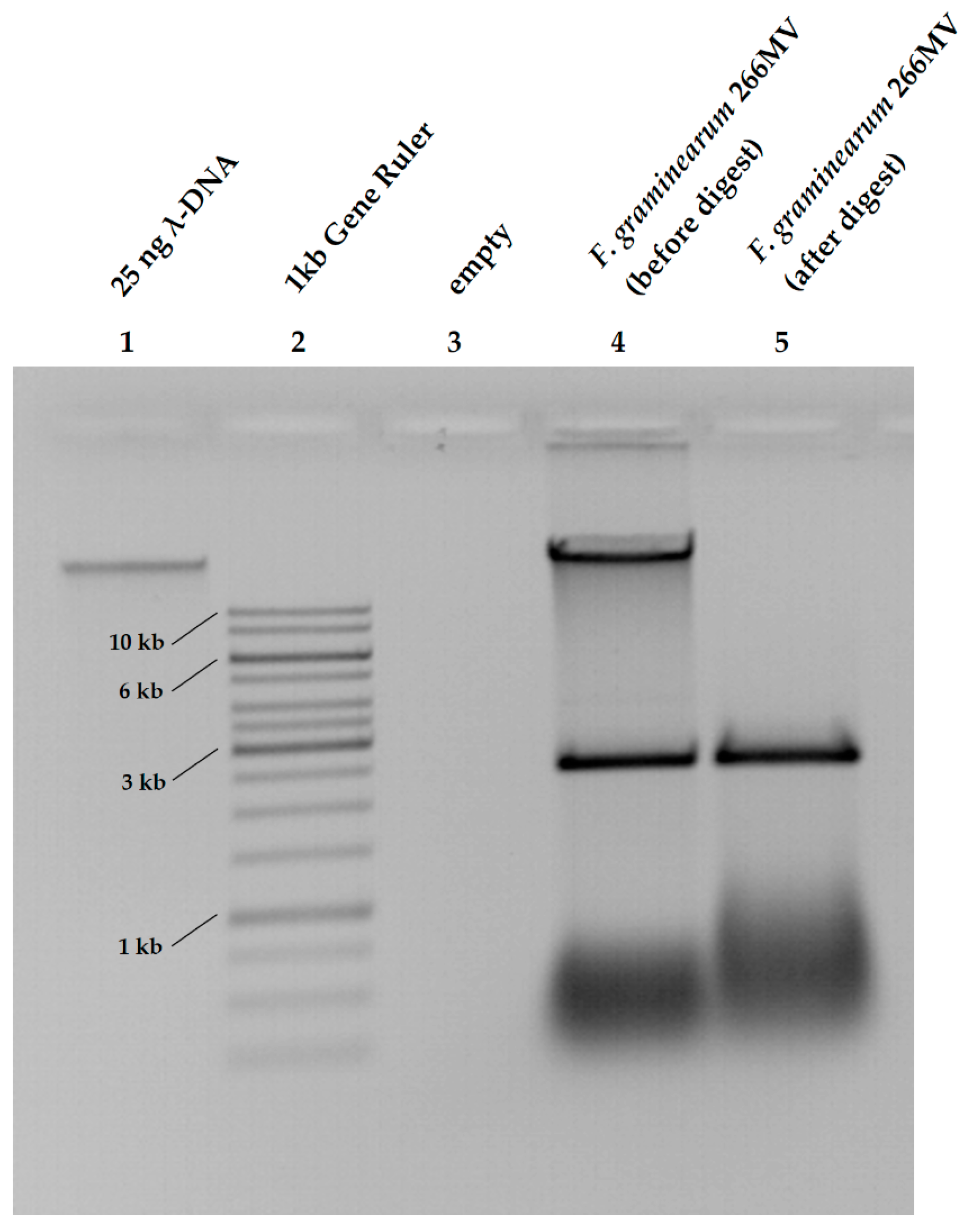 Toxins 16 00131 g001 Toxins 16 00131 g001