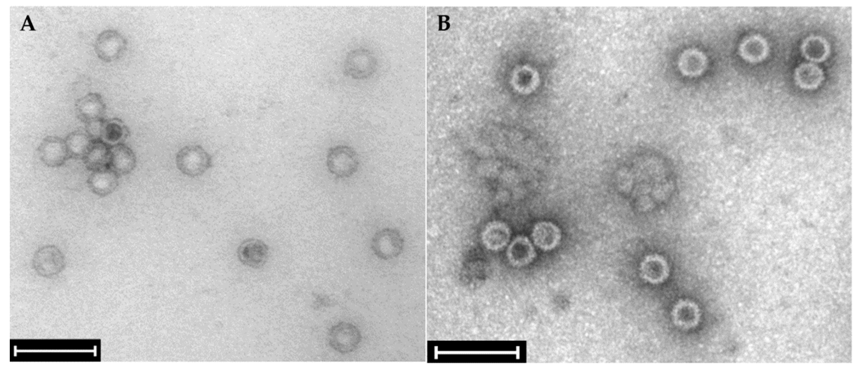 Toxins 16 00131 g003 Toxins 16 00131 g003