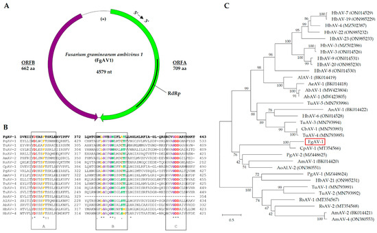 Toxins 16 00131 g004