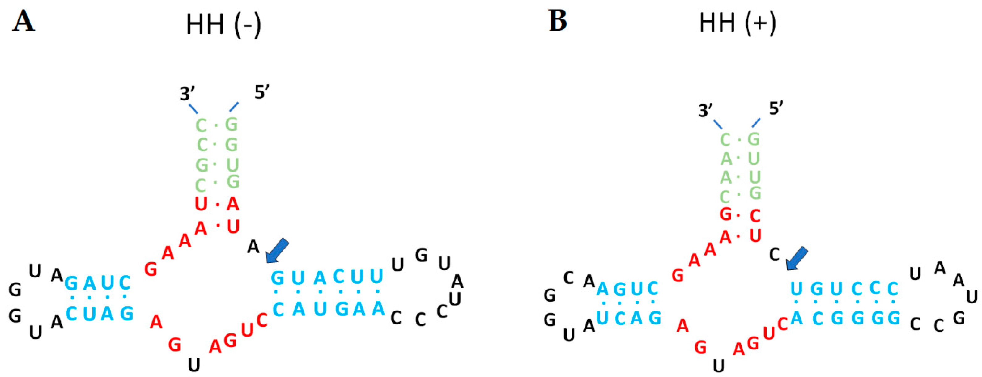 Toxins 16 00131 g0a2 Toxins 16 00131 g0a2