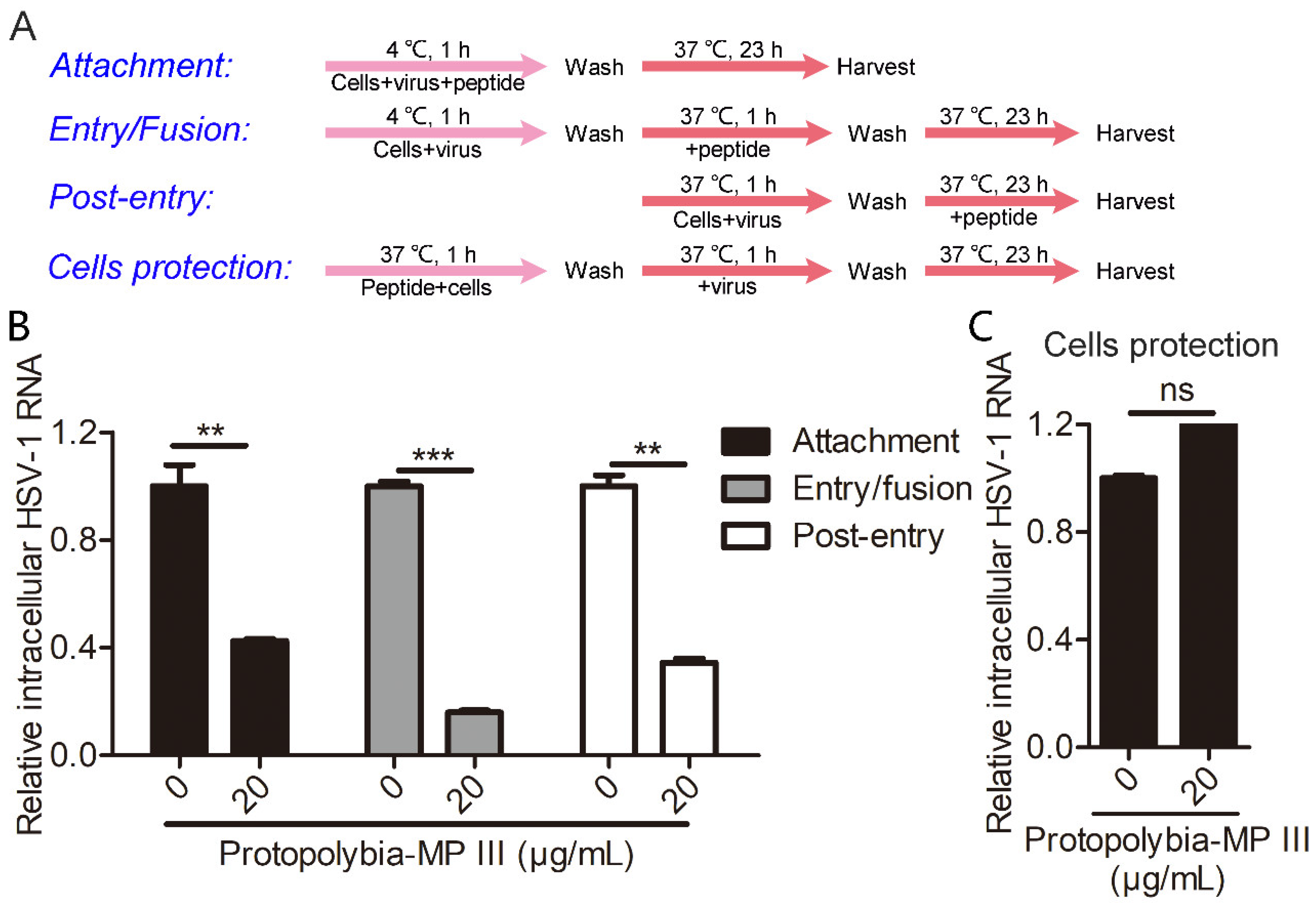 Toxins 16 00132 g003 Toxins 16 00132 g003