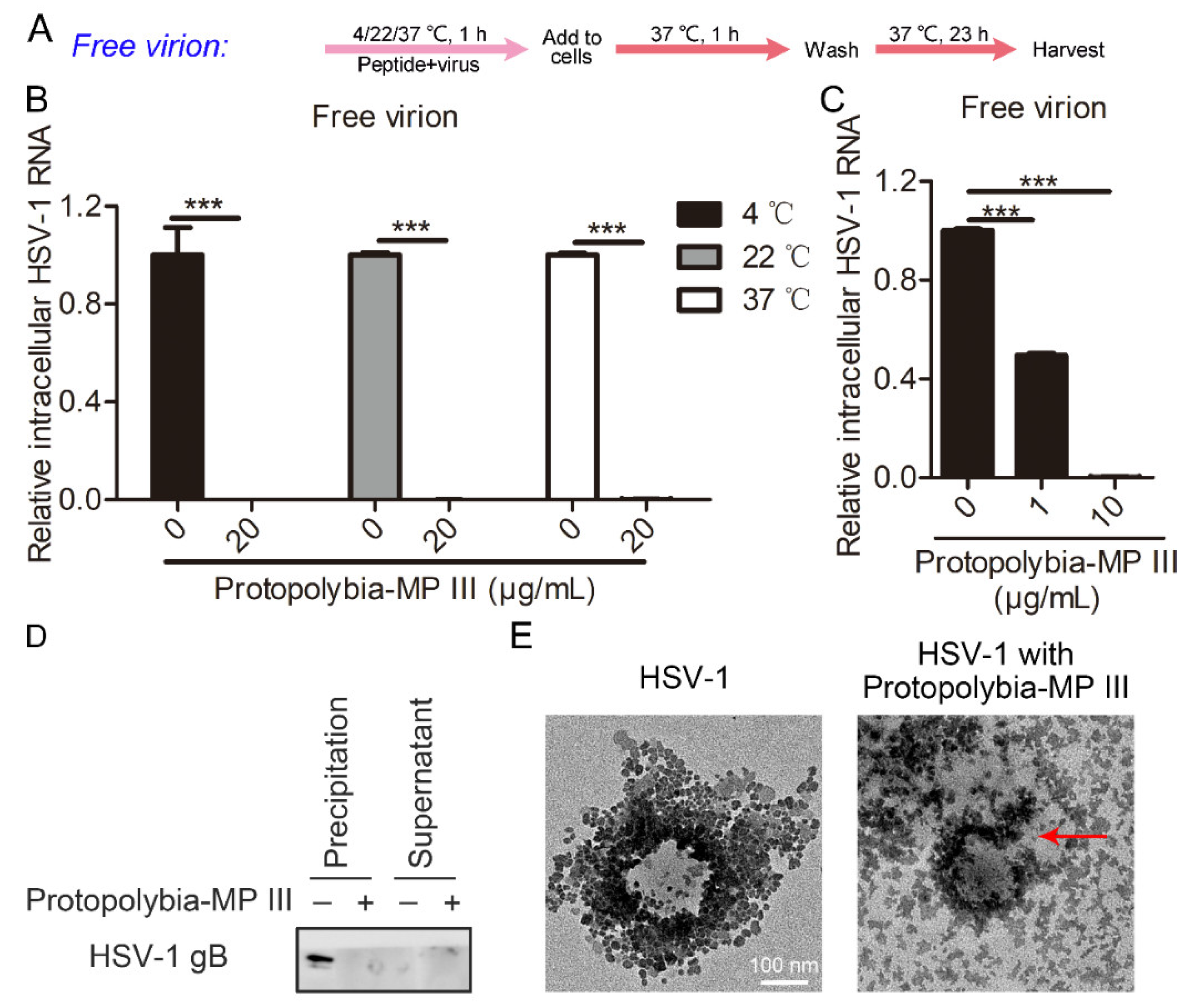 Toxins 16 00132 g005 Toxins 16 00132 g005