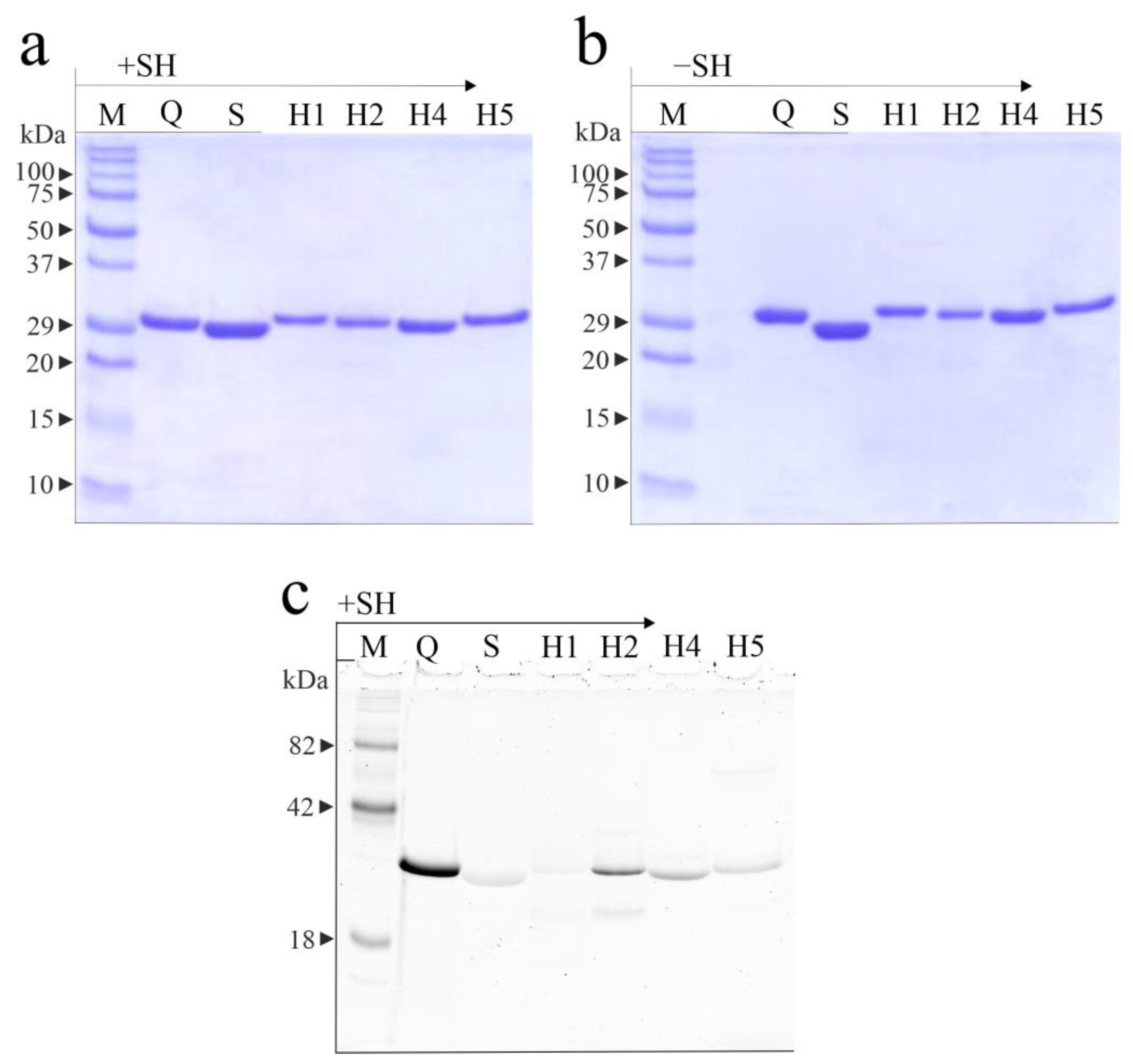 Toxins 16 00135 g002 Toxins 16 00135 g002