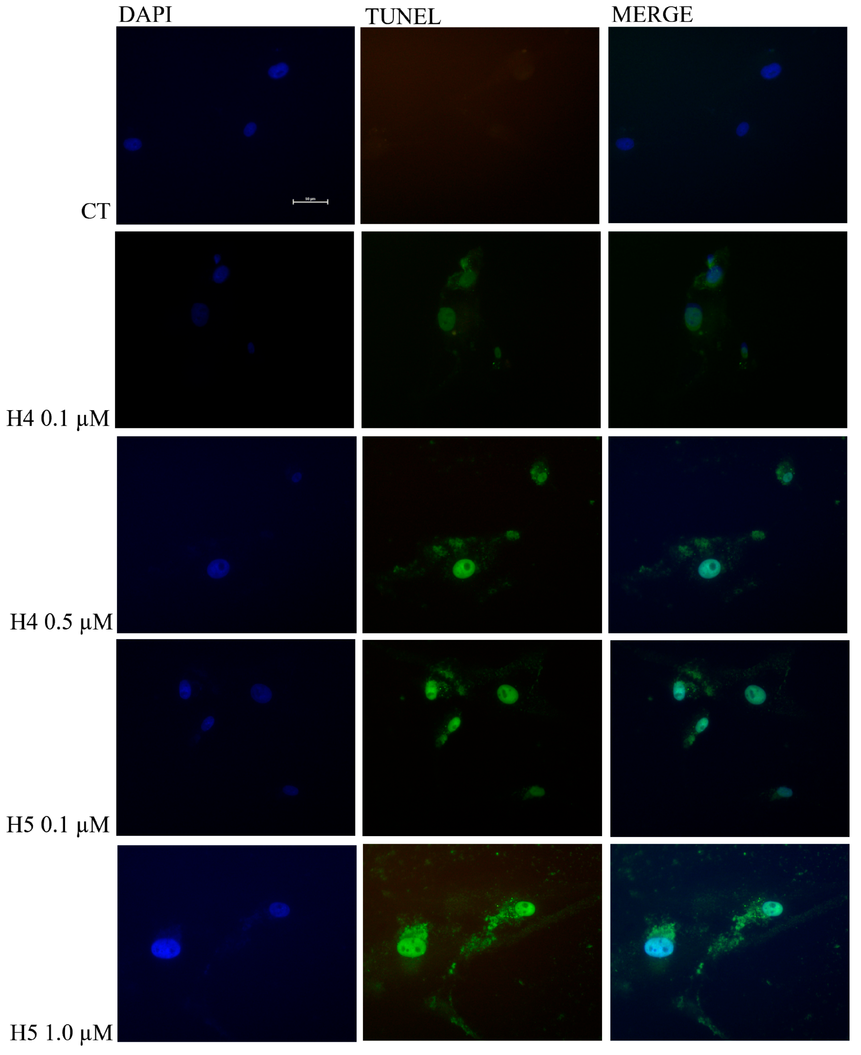 Toxins 16 00135 g006 Toxins 16 00135 g006