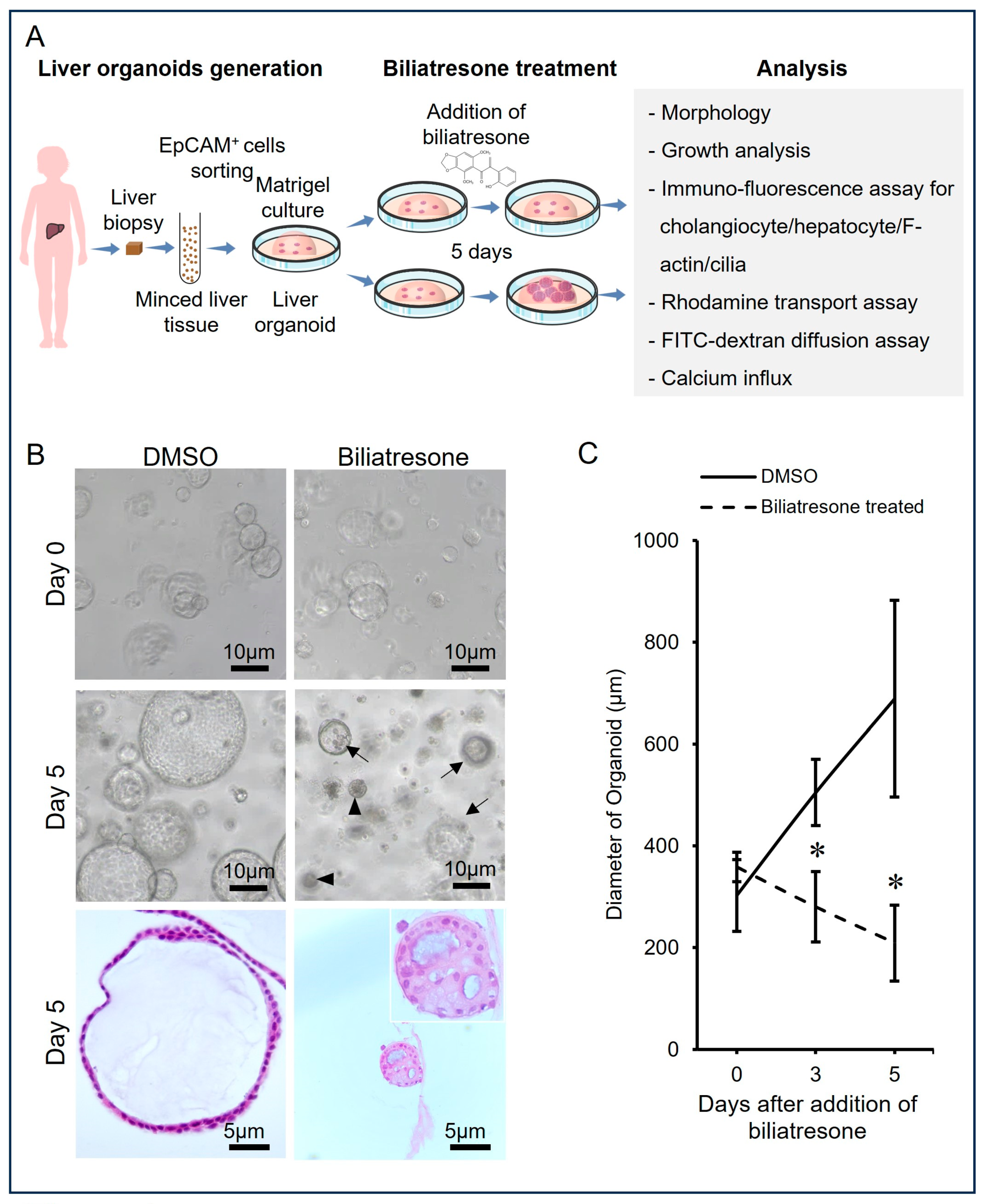 Toxins 16 00144 g001