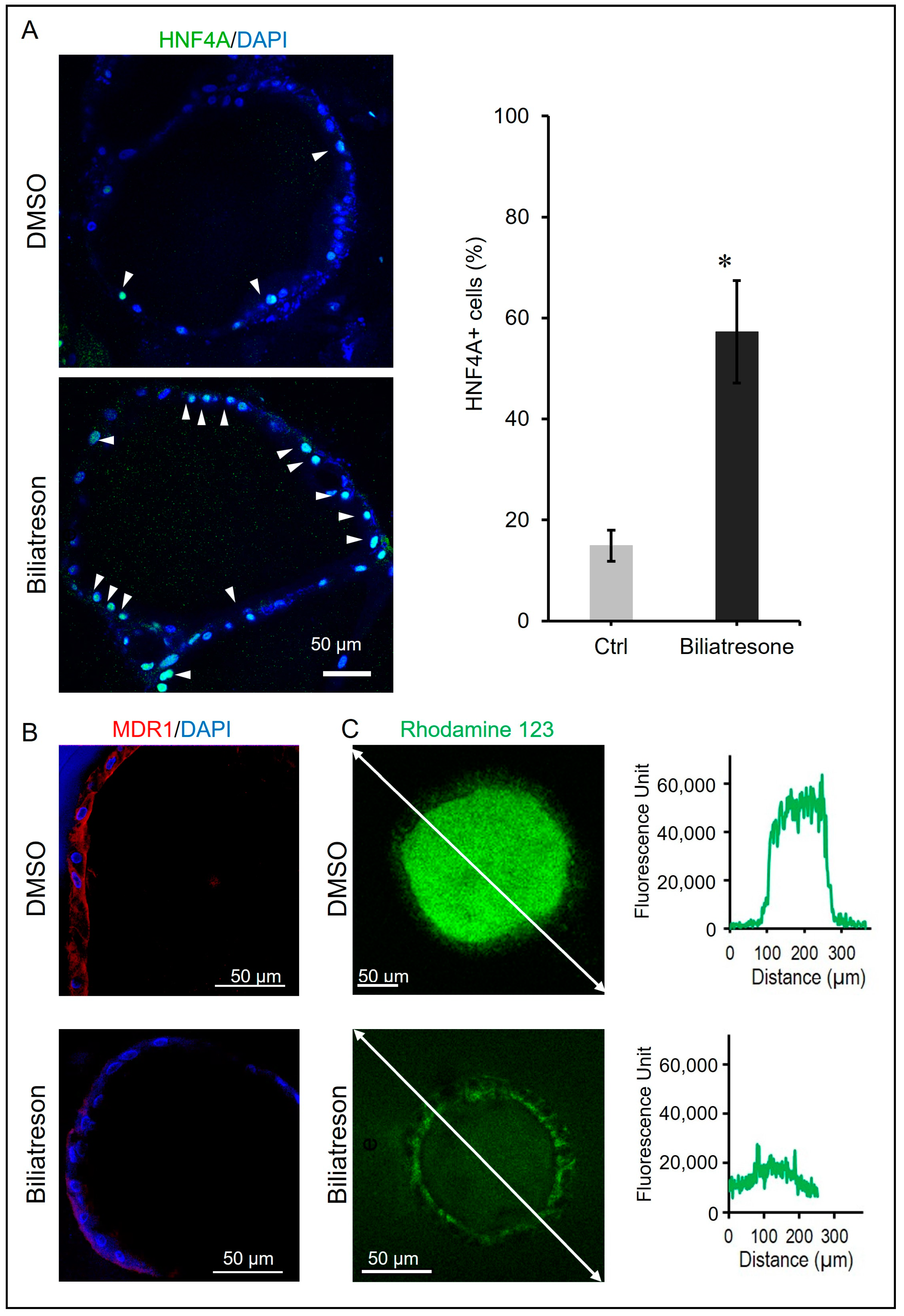 Toxins 16 00144 g002