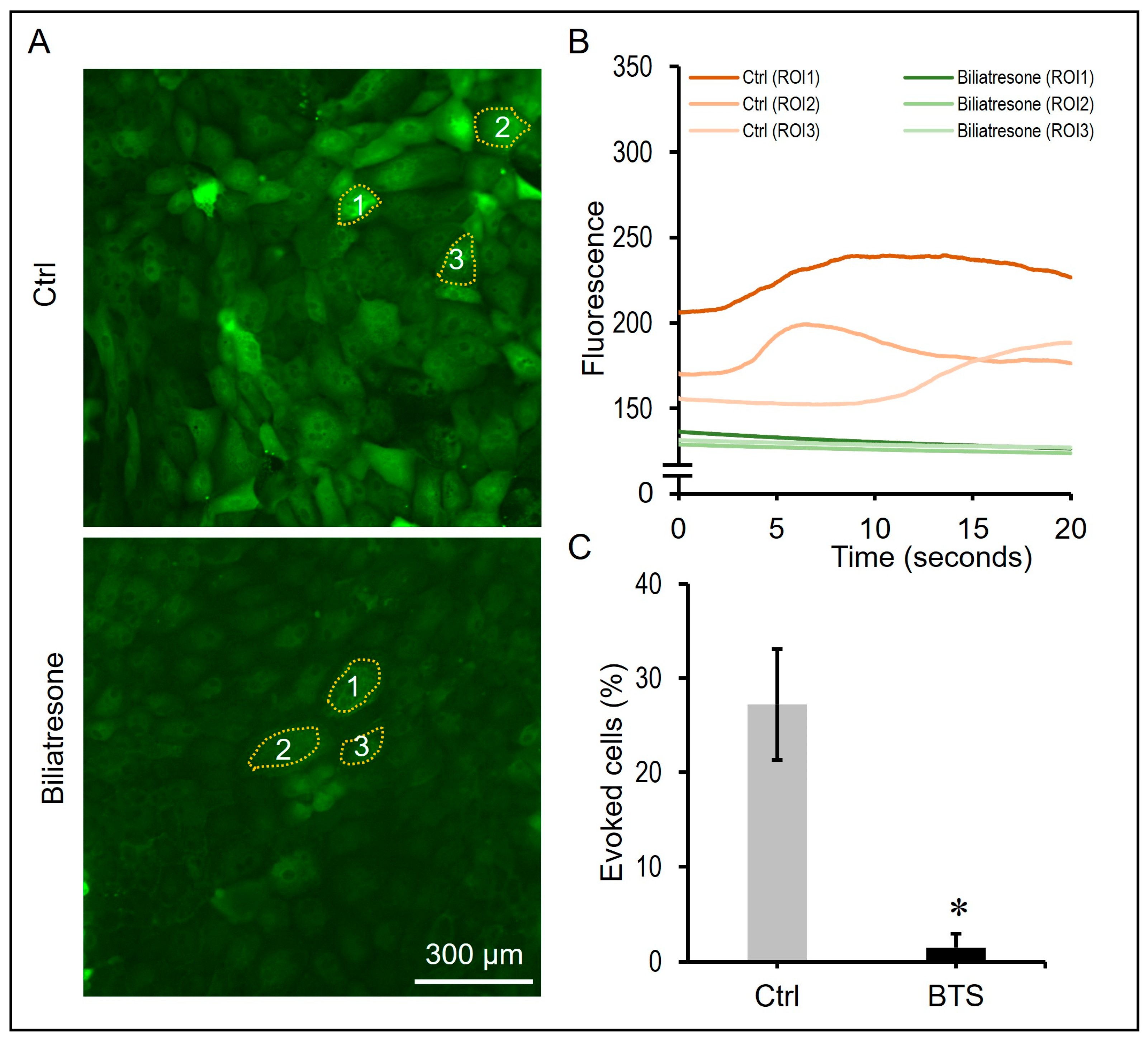 Toxins 16 00144 g005