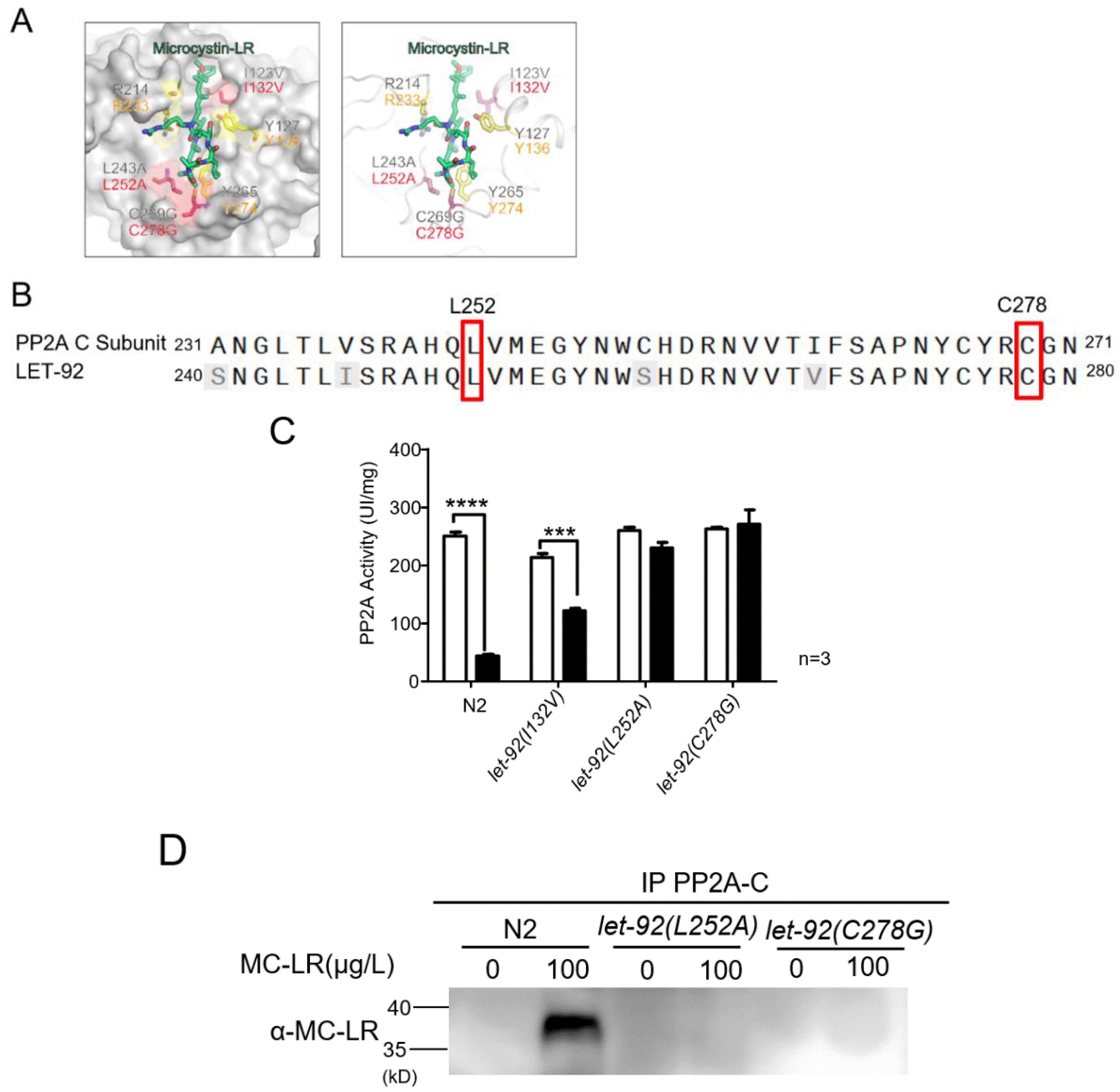 Toxins 16 00145 g005