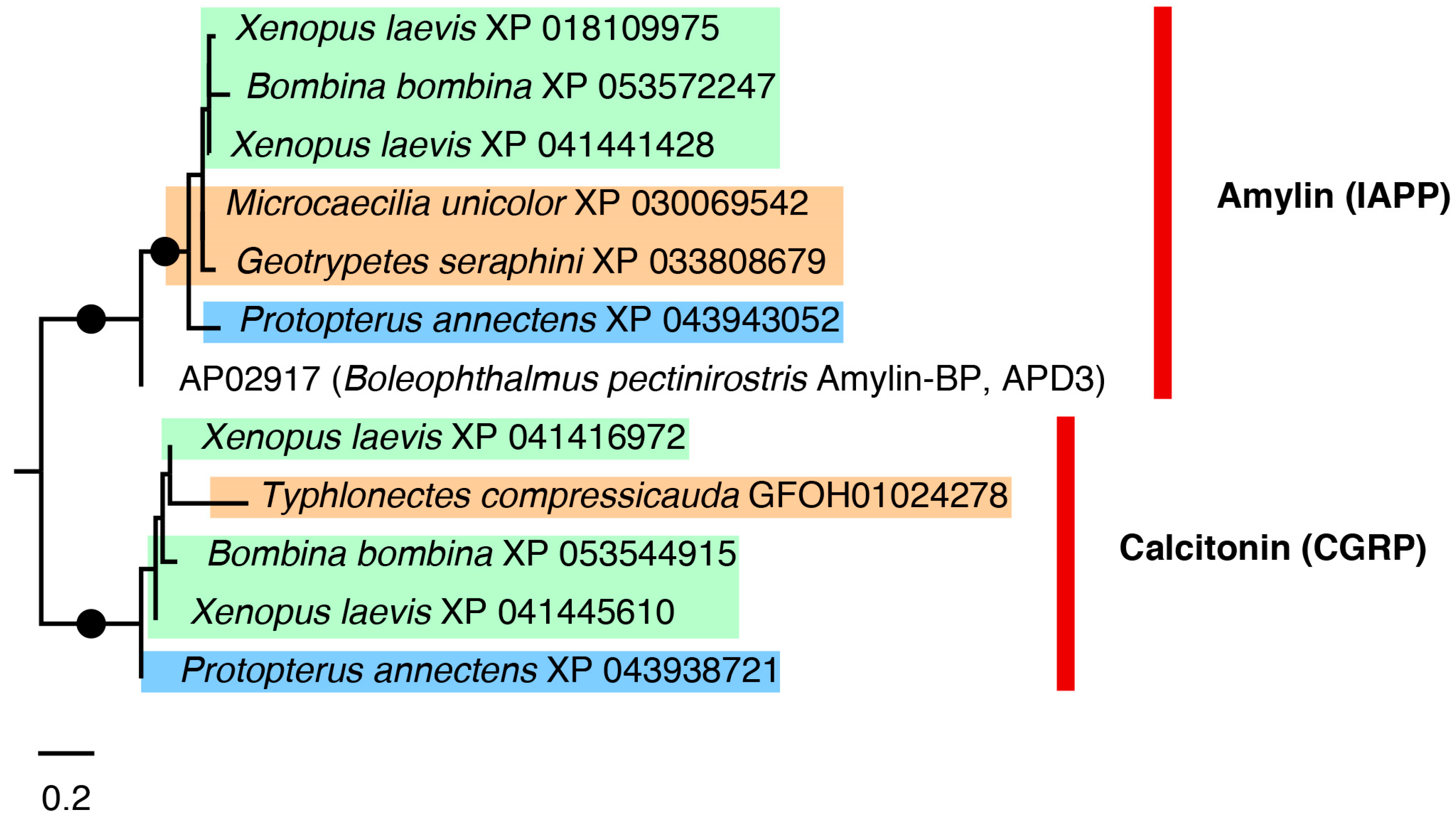 Toxins 16 00150 g004