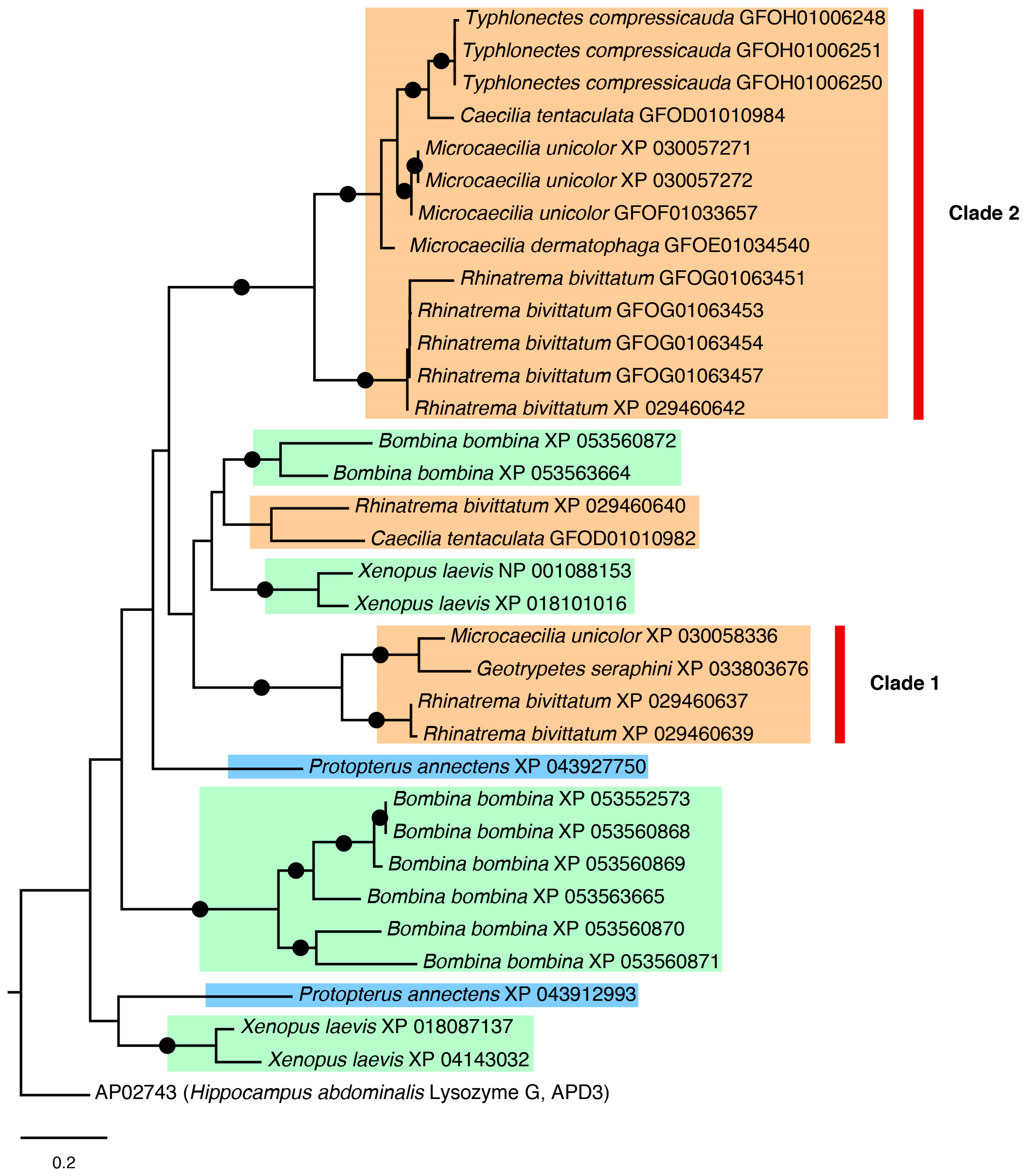 Toxins 16 00150 g005