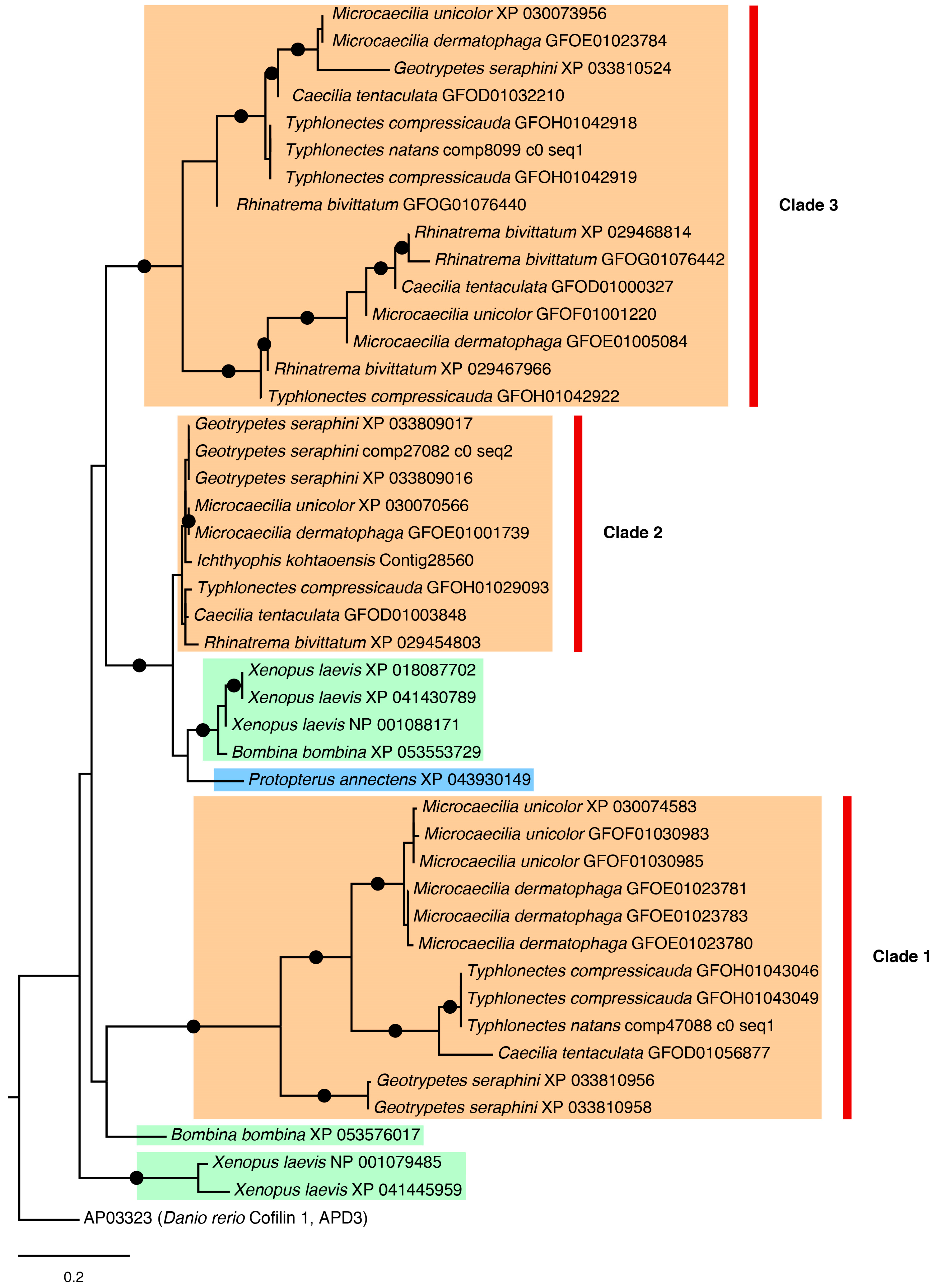 Toxins 16 00150 g006
