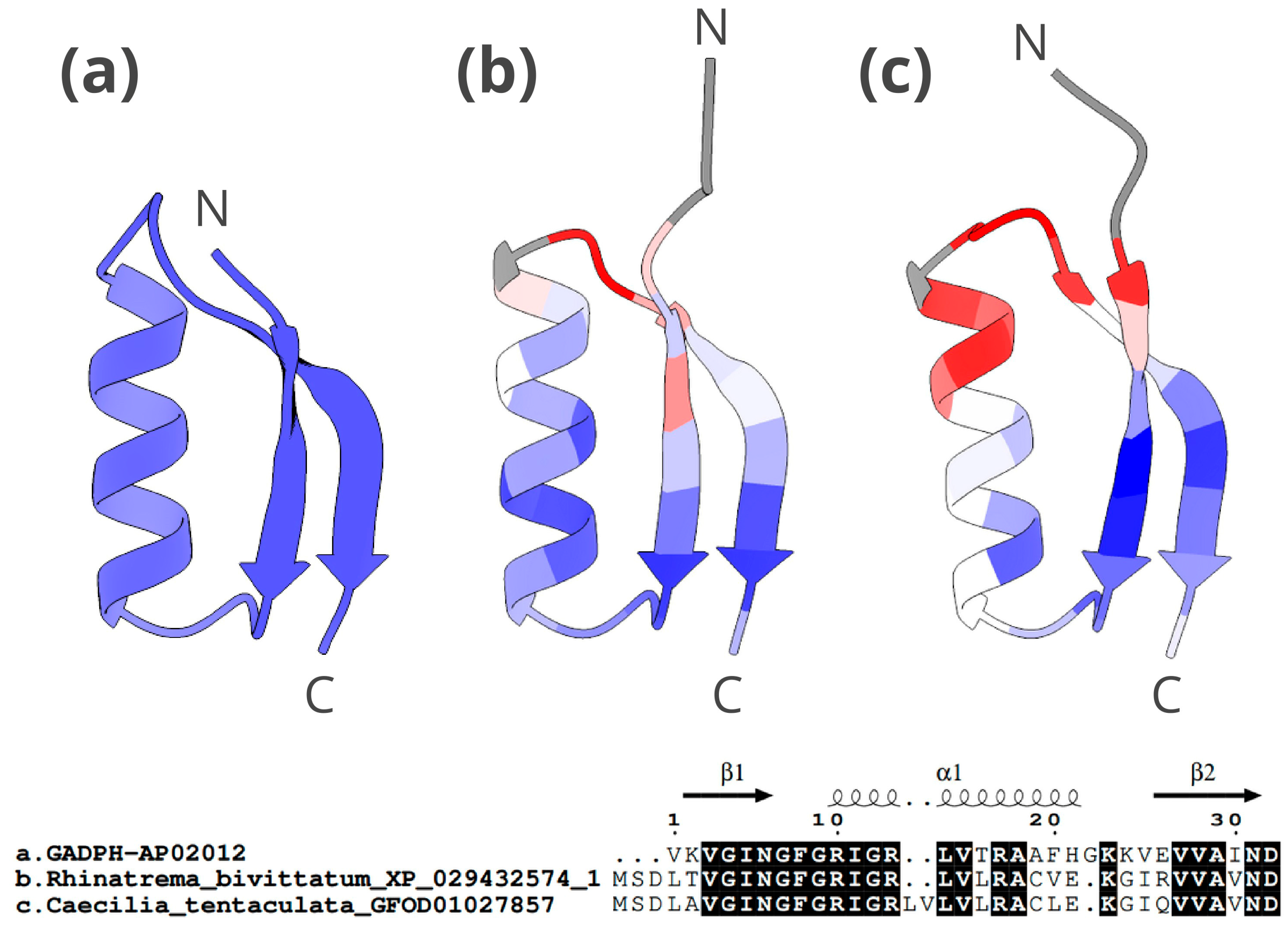 Toxins 16 00150 g008