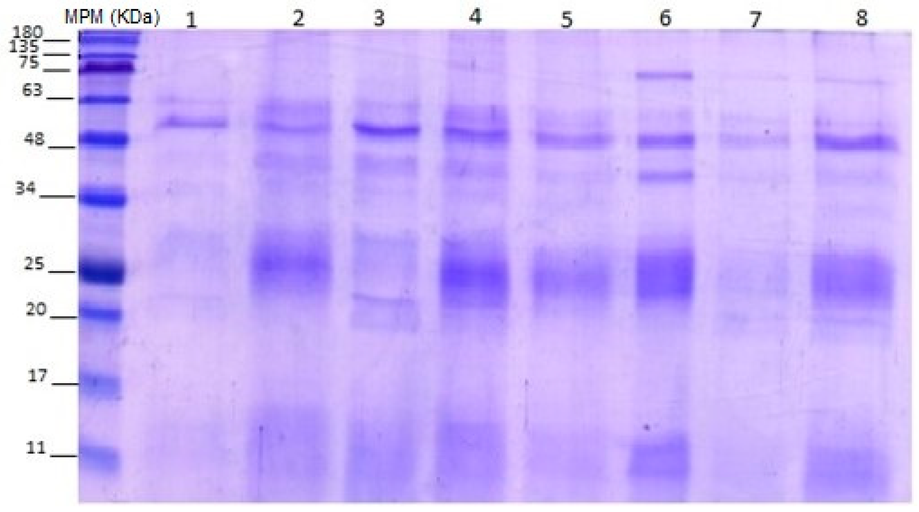 Toxins 16 00152 g008