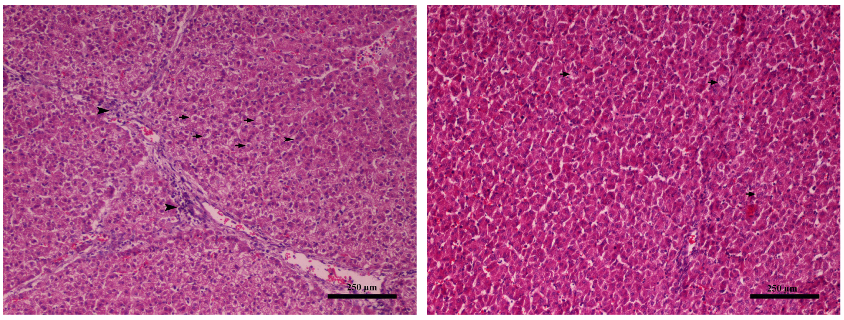 Toxins 16 00168 g001