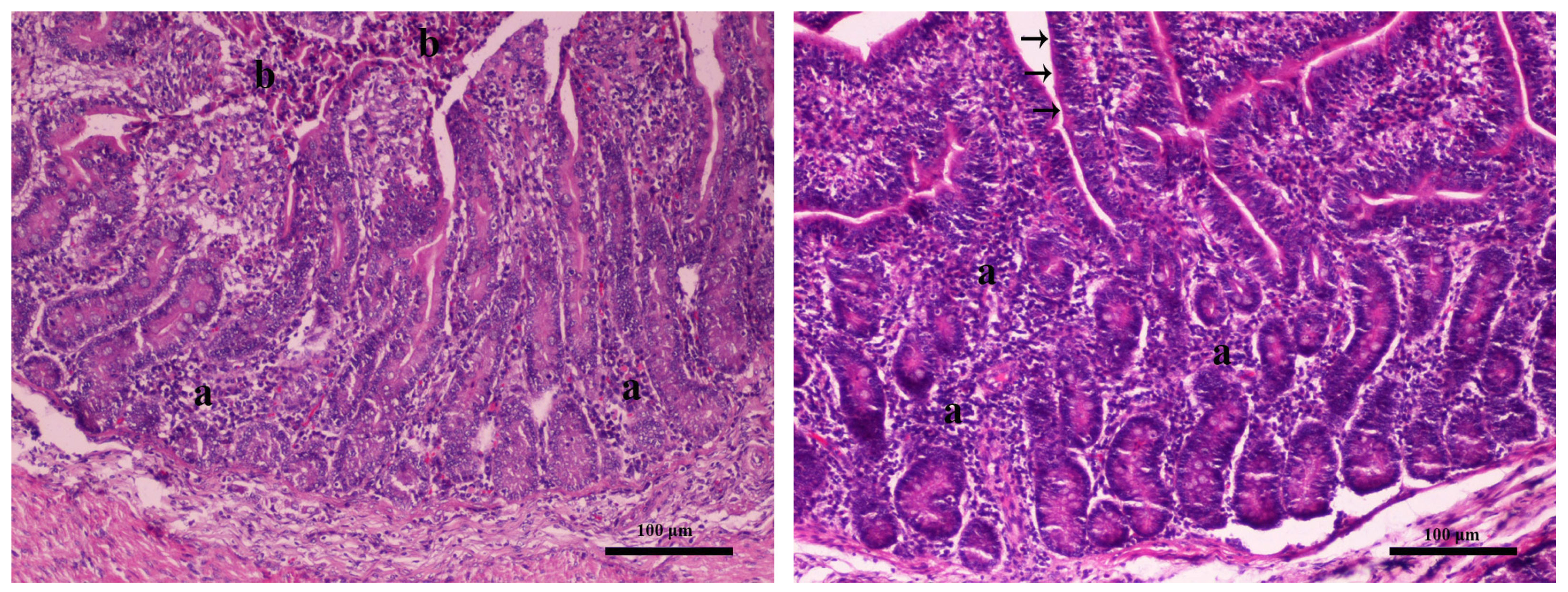 Toxins 16 00168 g002