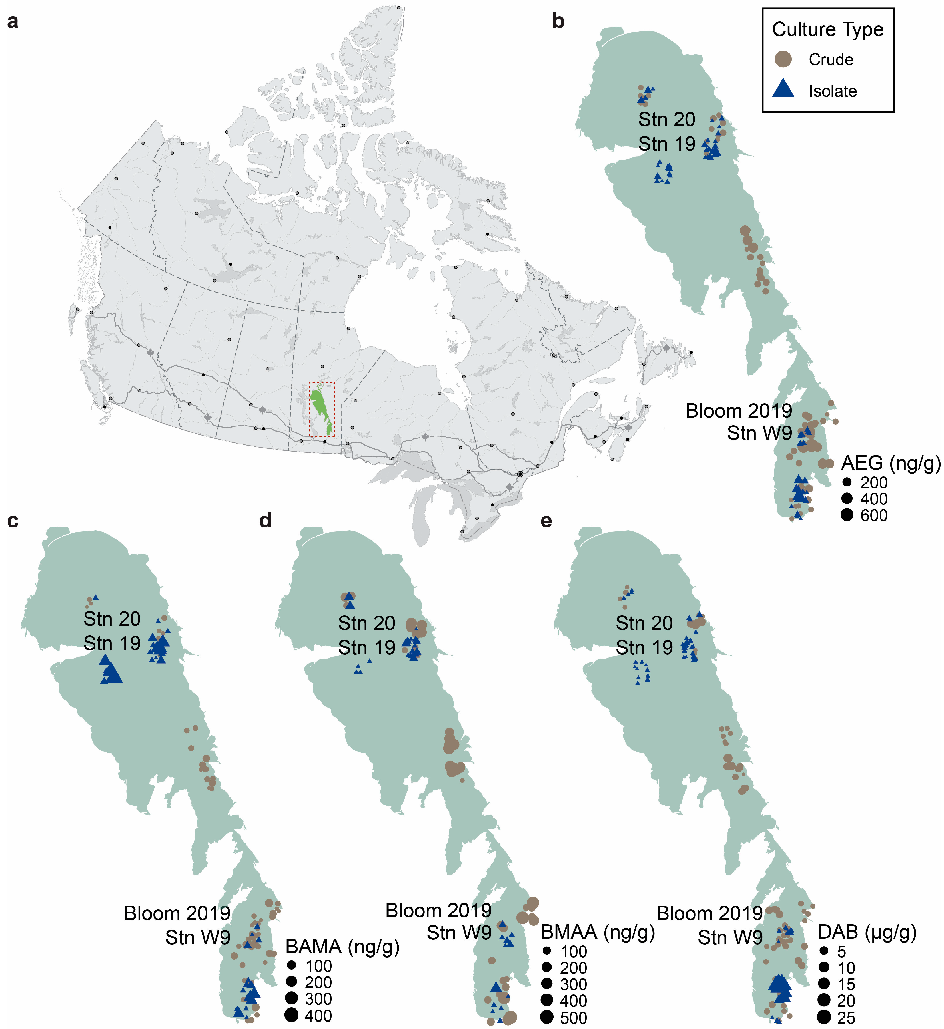 Toxins 16 00169 g001