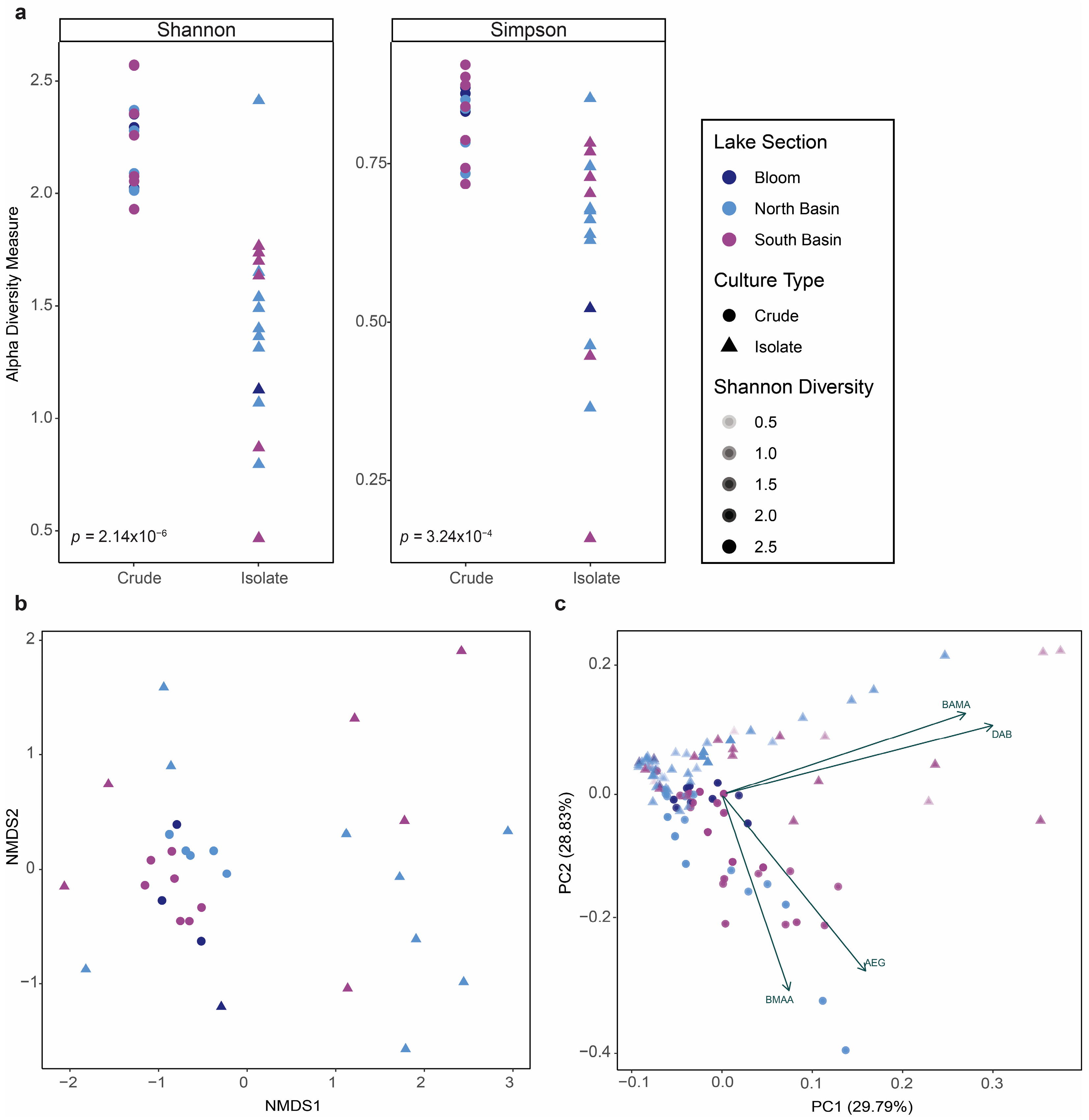 Toxins 16 00169 g004
