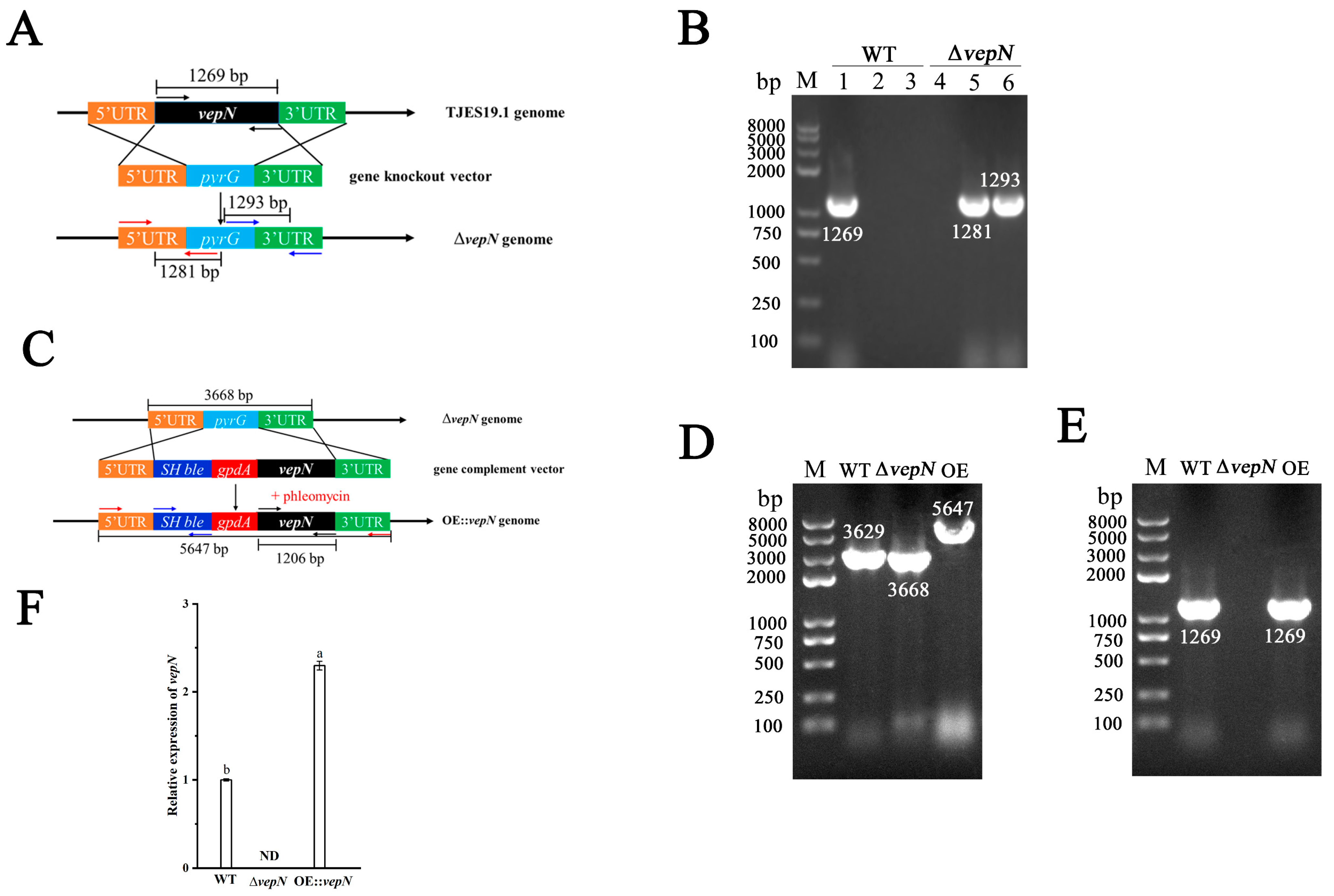 Toxins 16 00174 g003