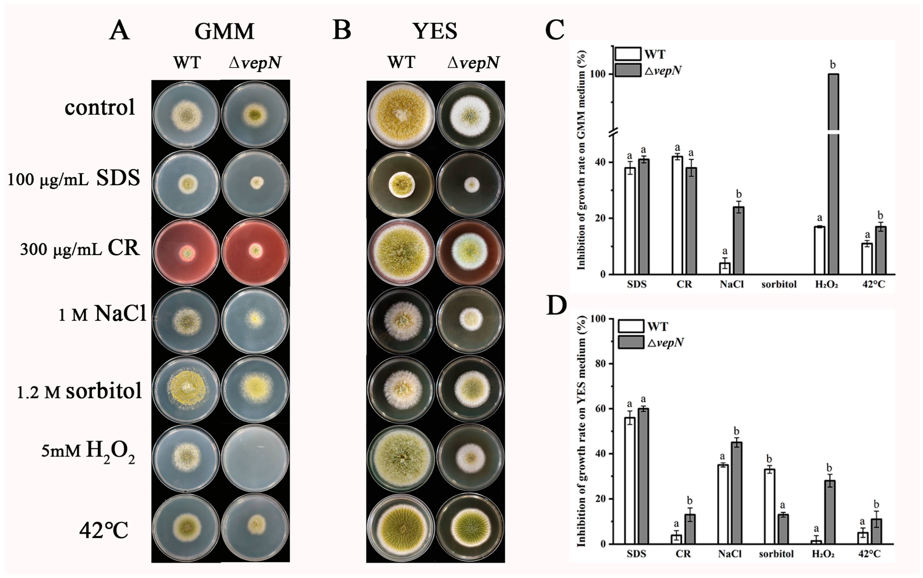 Toxins 16 00174 g008