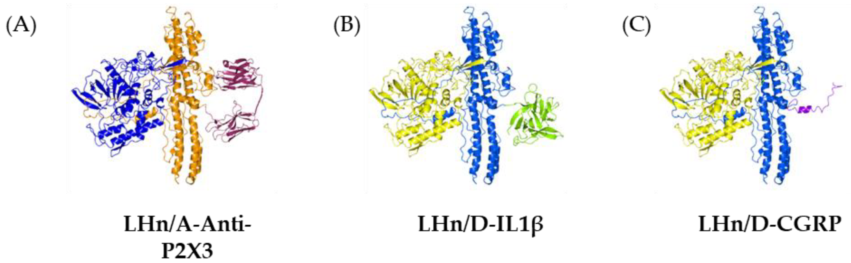 Toxins 16 00175 g001 Toxins 16 00175 g001